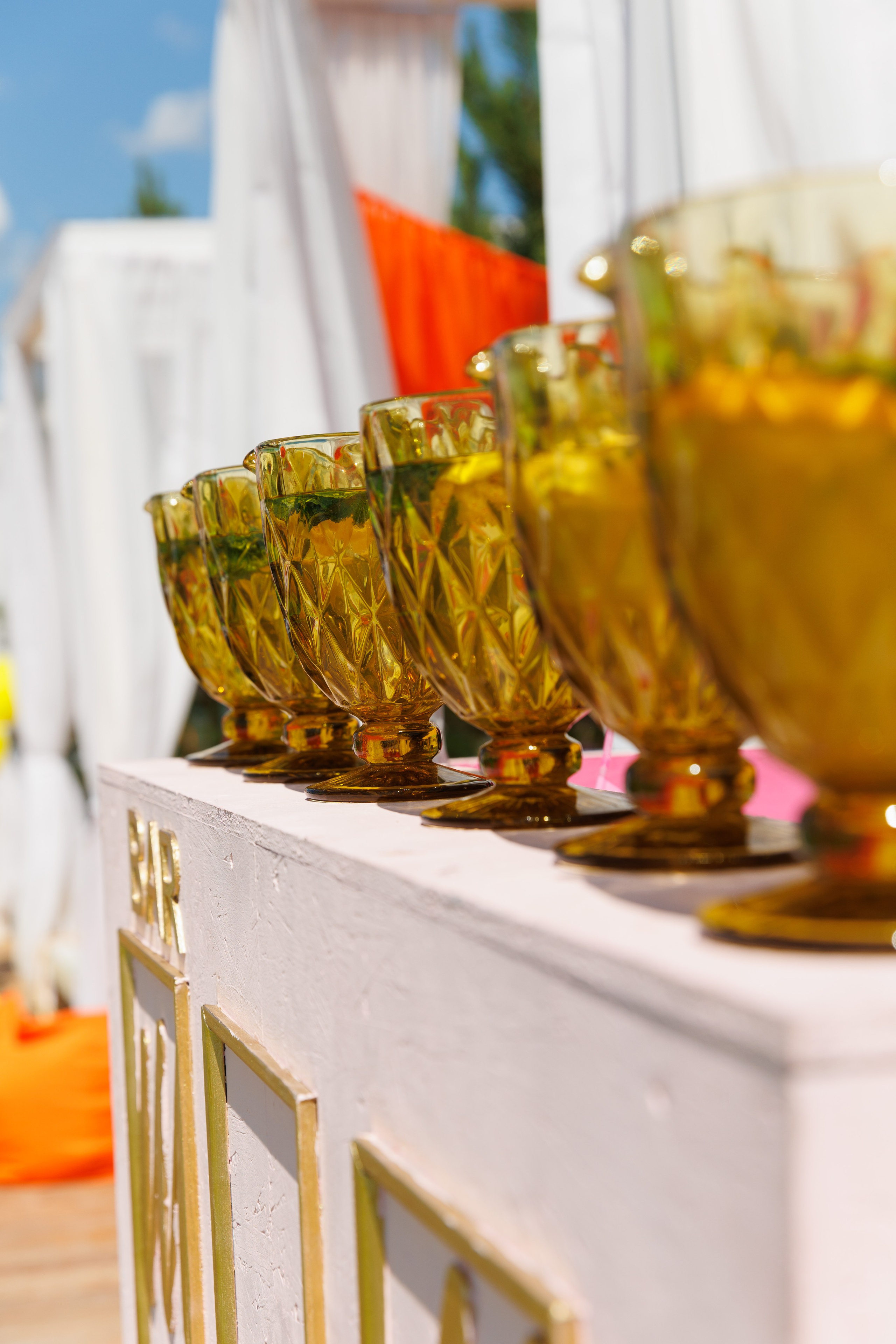 Летняя вечеринка декораторов ШИУ. Фотограф Новосибирск — Наталья Гресь