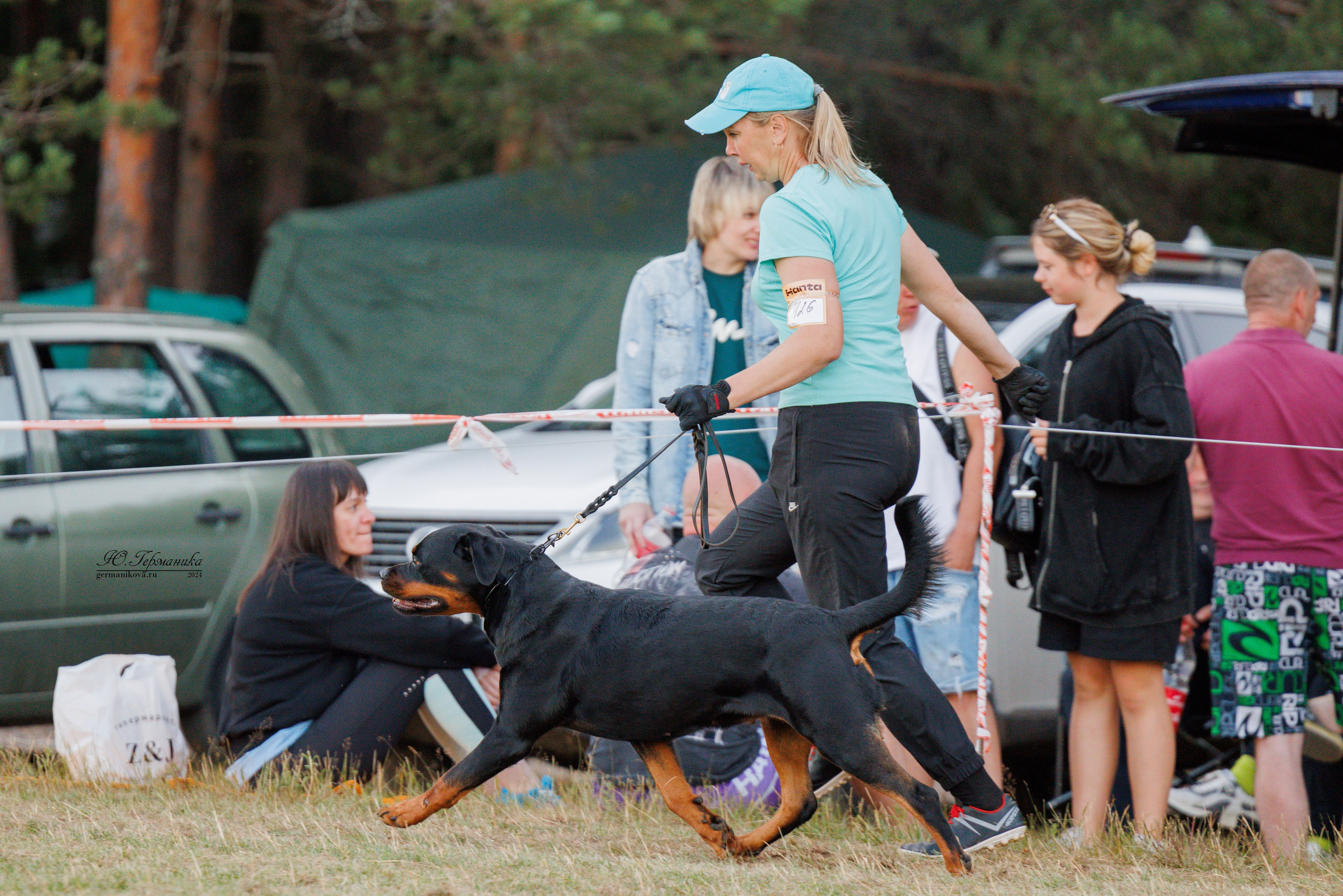 ПК и КЧК ротвейлеры Тверь 6-7.07.2024. Фотограф-анималист Юлия Германика