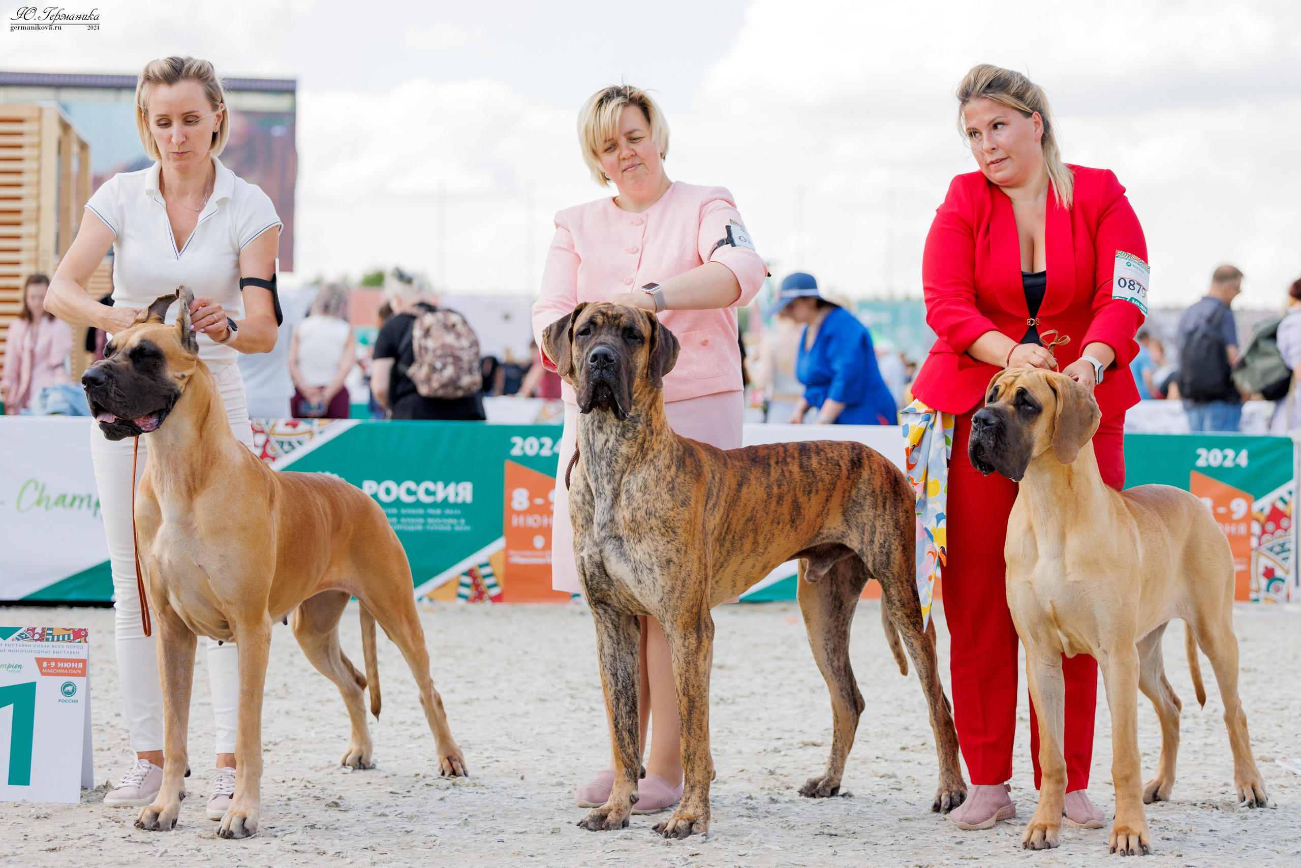 РОССИЯ 8-9.06.2024. Фотограф-анималист Юлия Германика