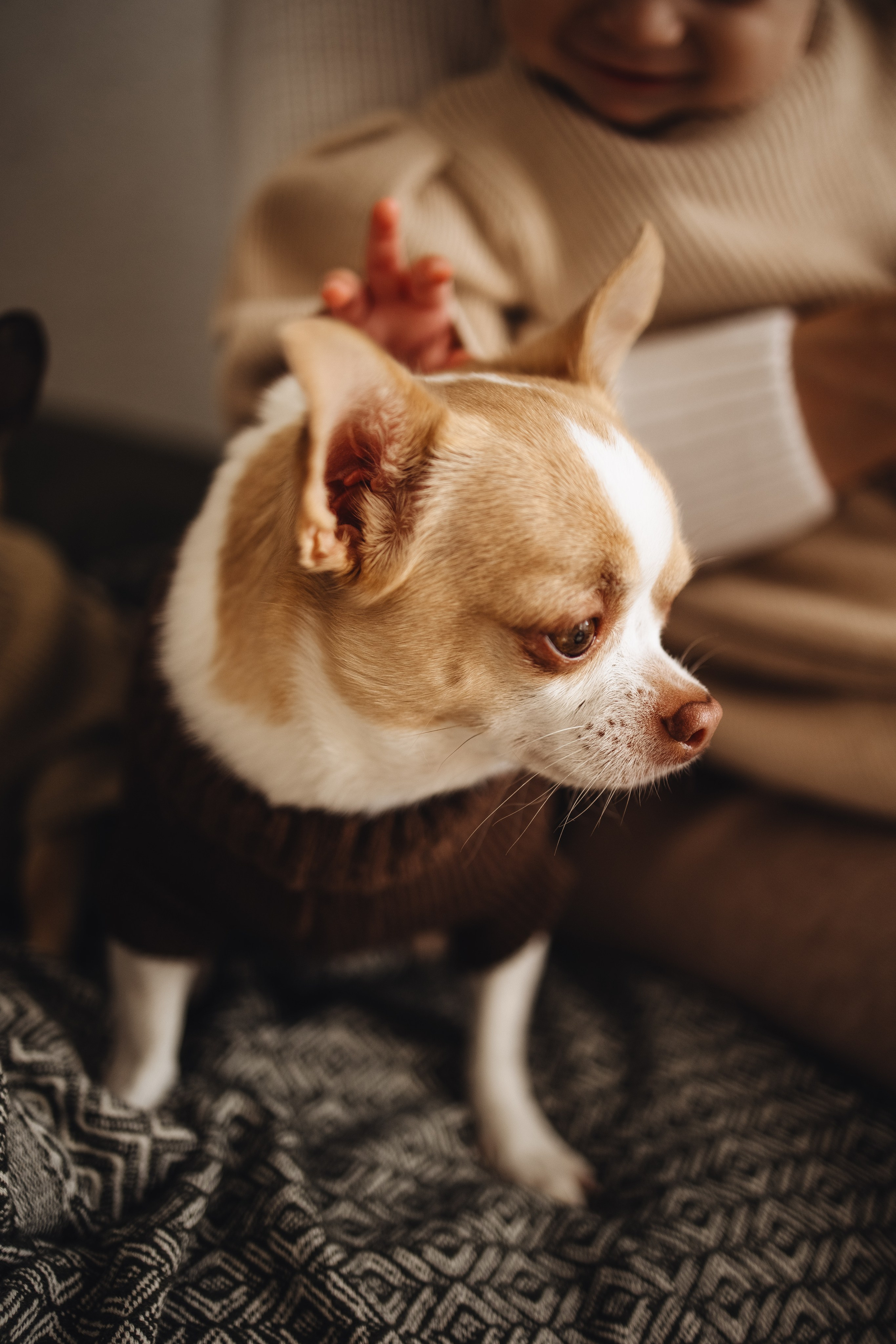 Семья Ангелины. Семейный и детский фотограф в Краснодаре Филиппова Ольга