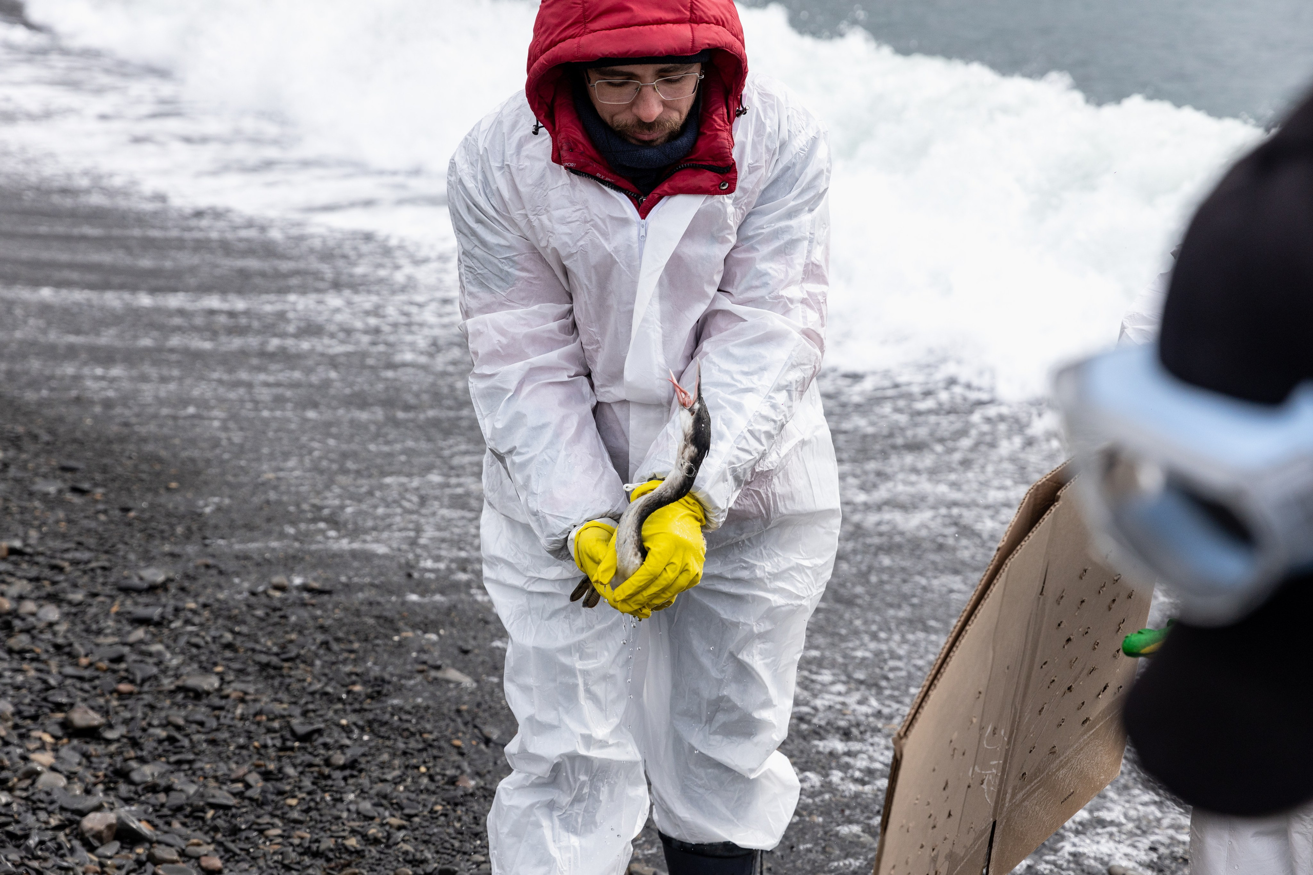 Anapa. Фотограф Маша Новодережкина