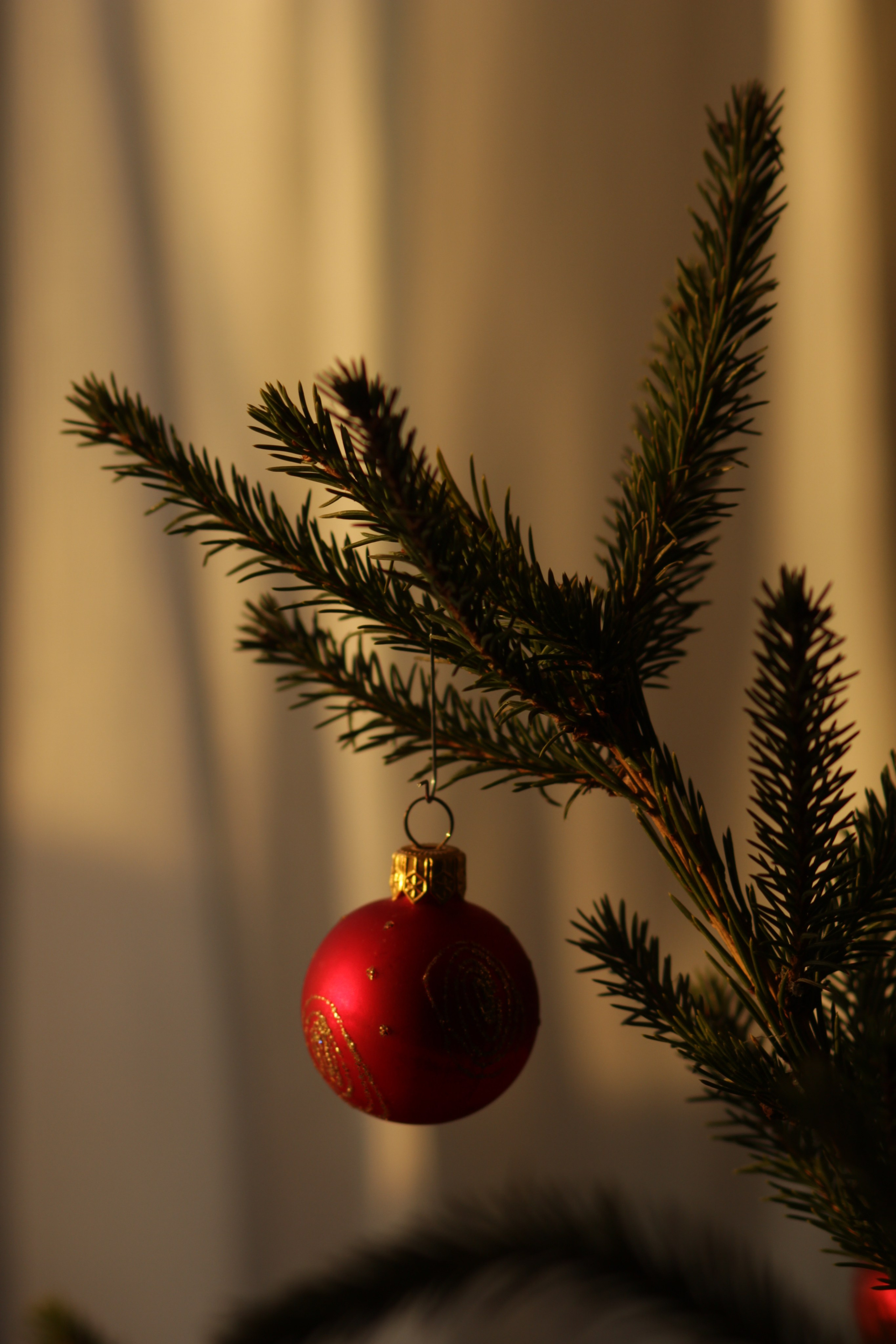 Елочный шар на ветке Новогодней ели