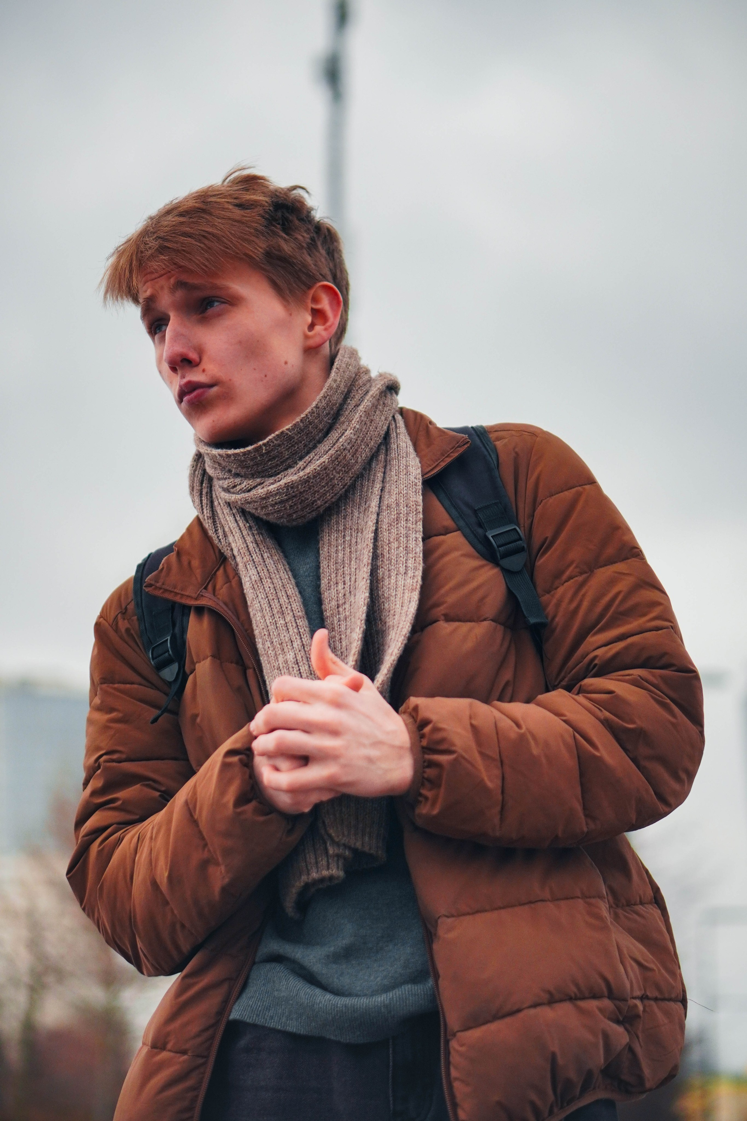 Лев. Видео и Фото