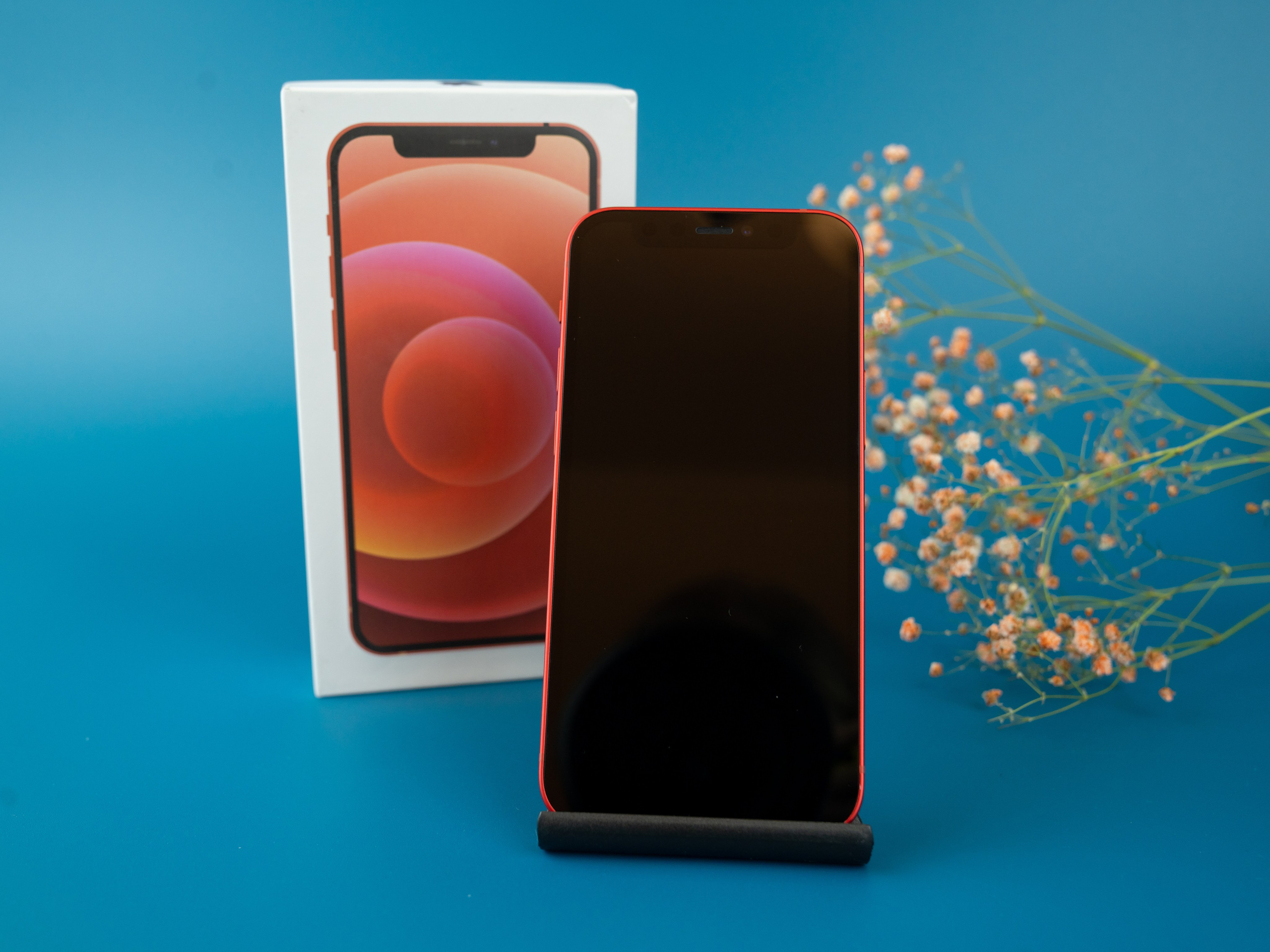 IPhone. Фотограф в Санкт-Петербурге Мария Александрова