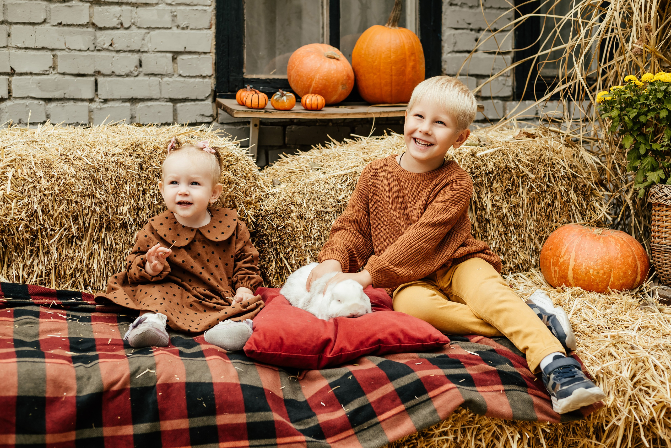 Детские и семейные фотосессии. Свадебный фотограф в Ростове Александра Груздева