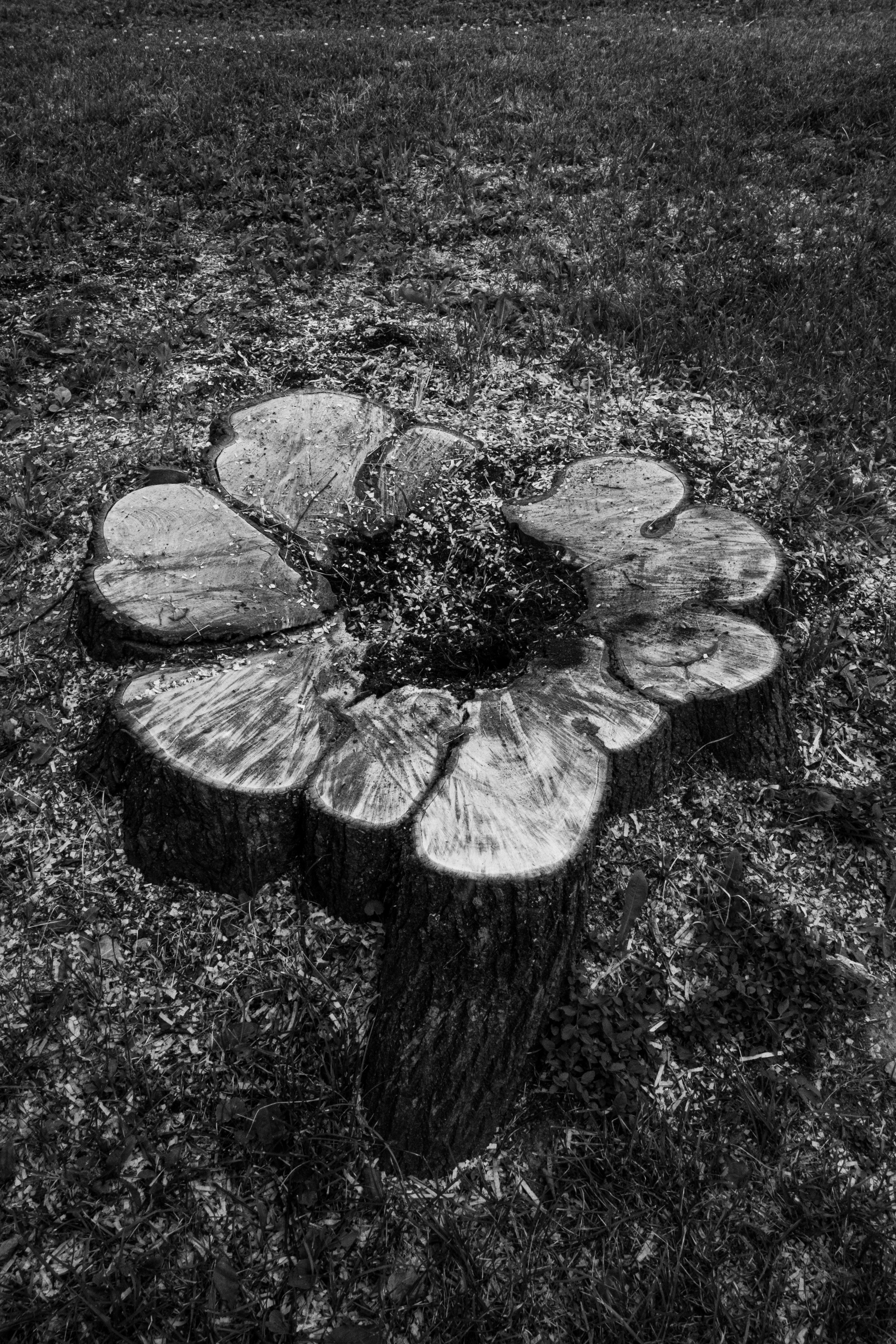 Абрамцево. Портретный и архитектурный фотограф в Москве и Санкт-Петербурге