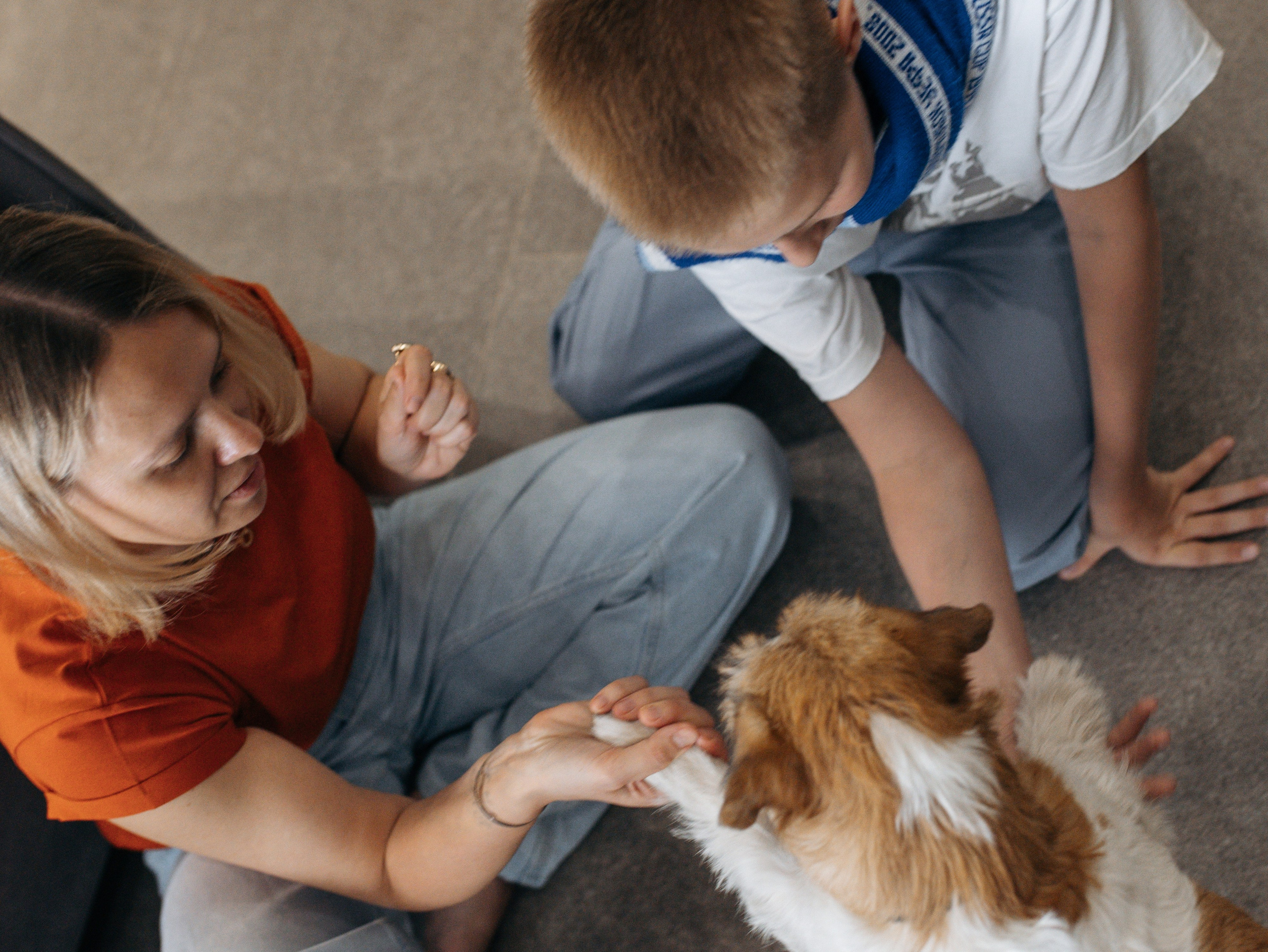 День рождение Зенита. Фотограф-анималист в Москве Кириллова Татьяна