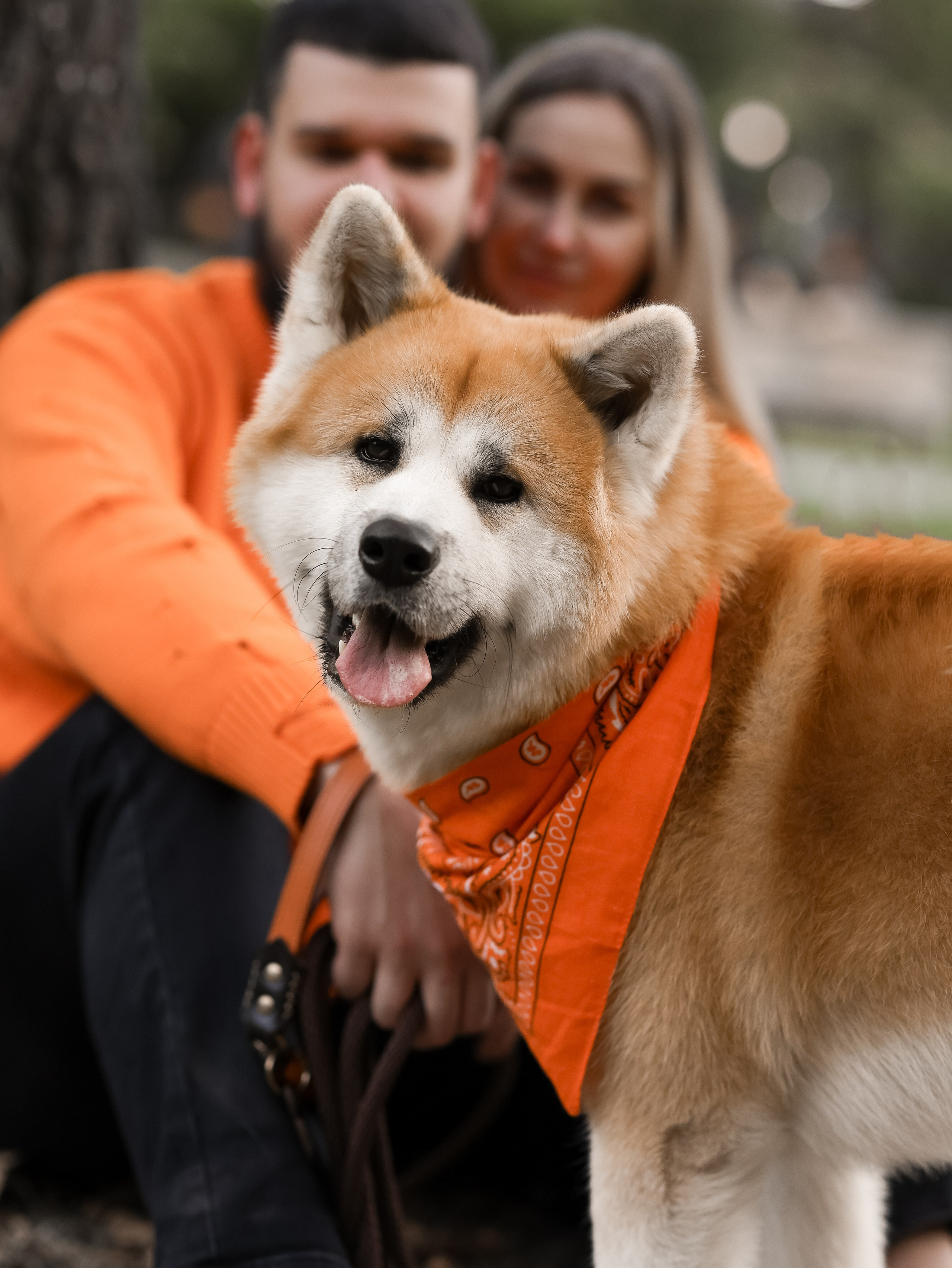 Гранд, Вика и Степан. Фотограф-анималист в Москве Кириллова Татьяна