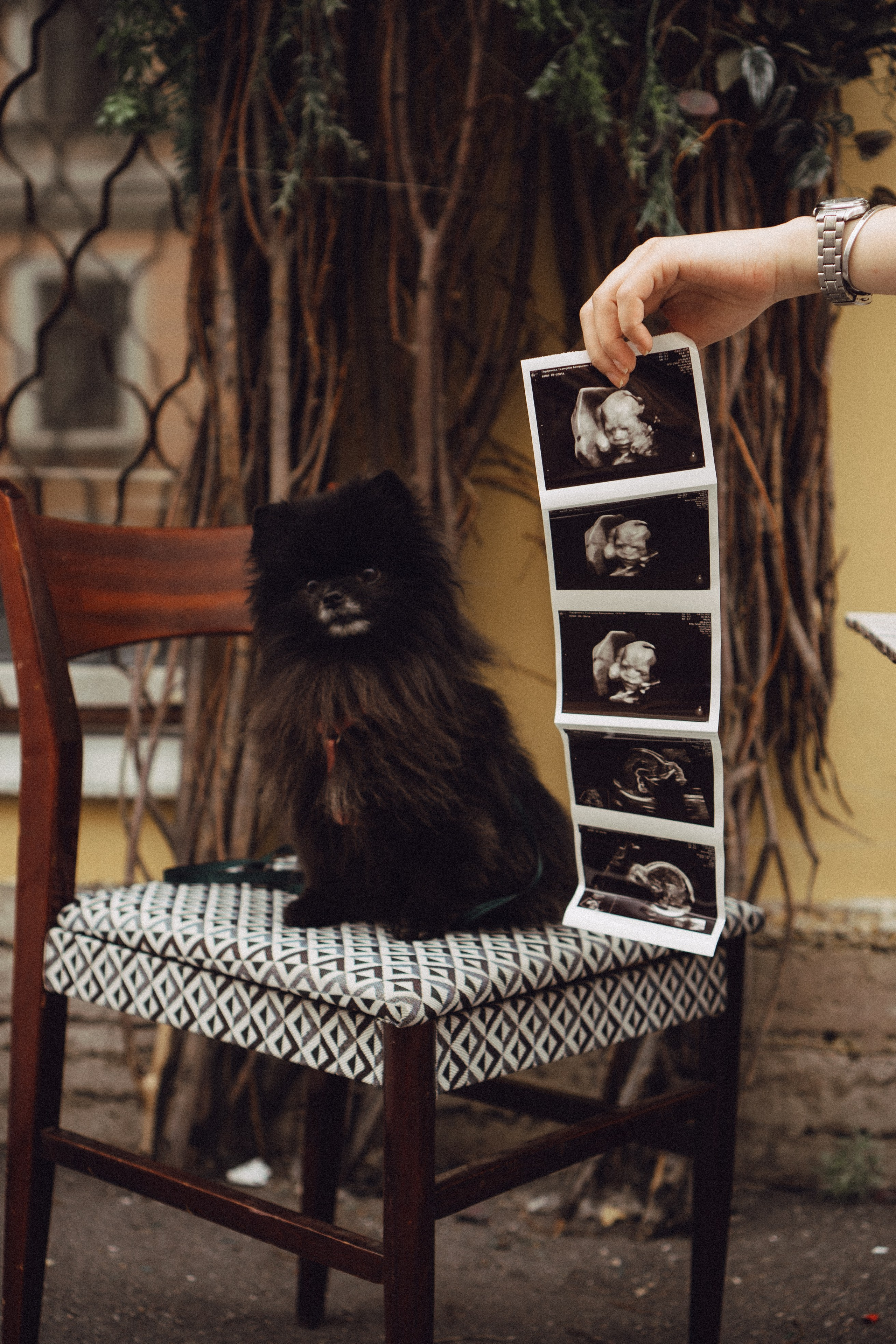 Беременность (только часть фото по желанию клиентов могу показать)). Профессиональный фотограф, Санкт-Петербург — Виктория Богомолова