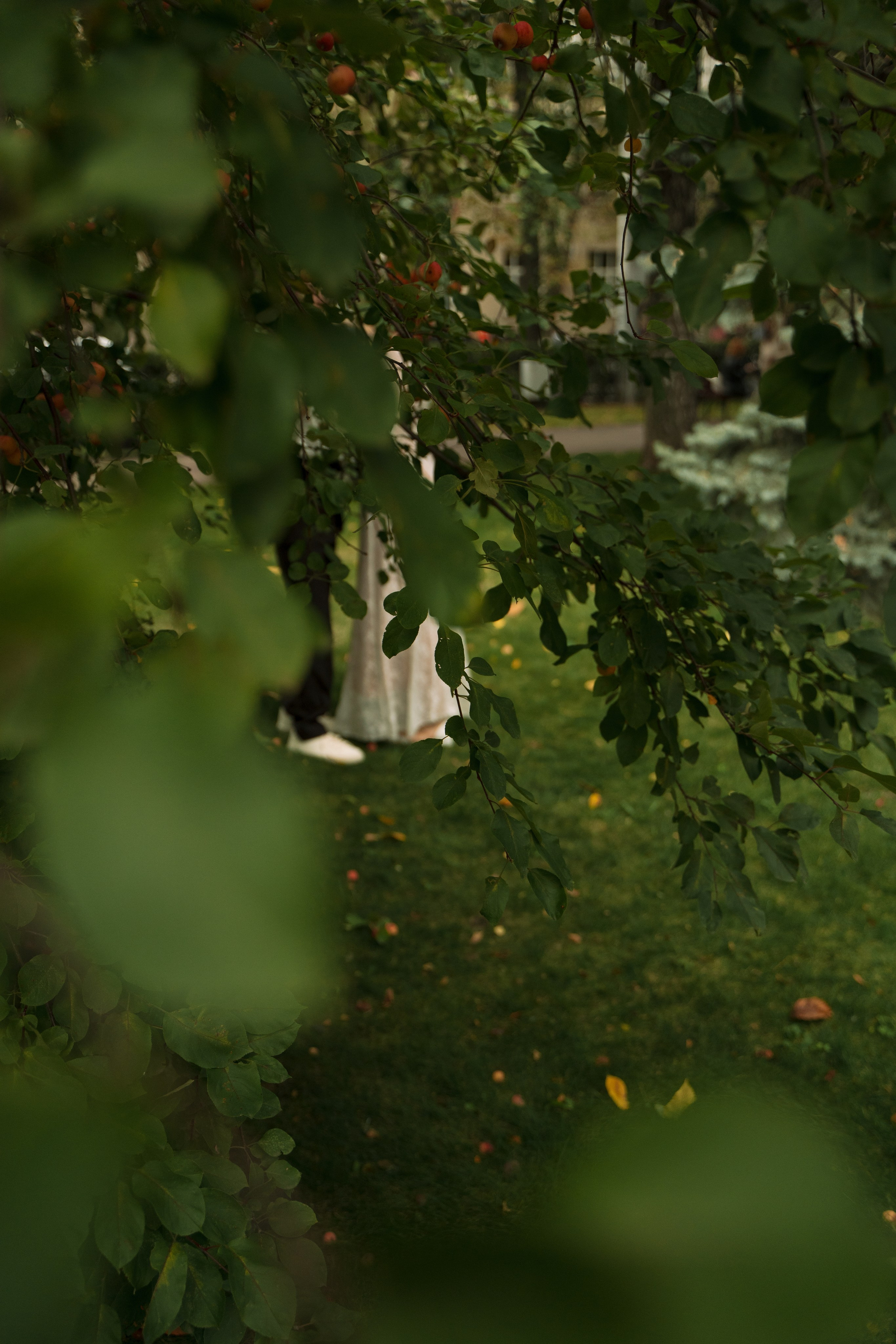 Динамо. Фотограф Мария Зайчик