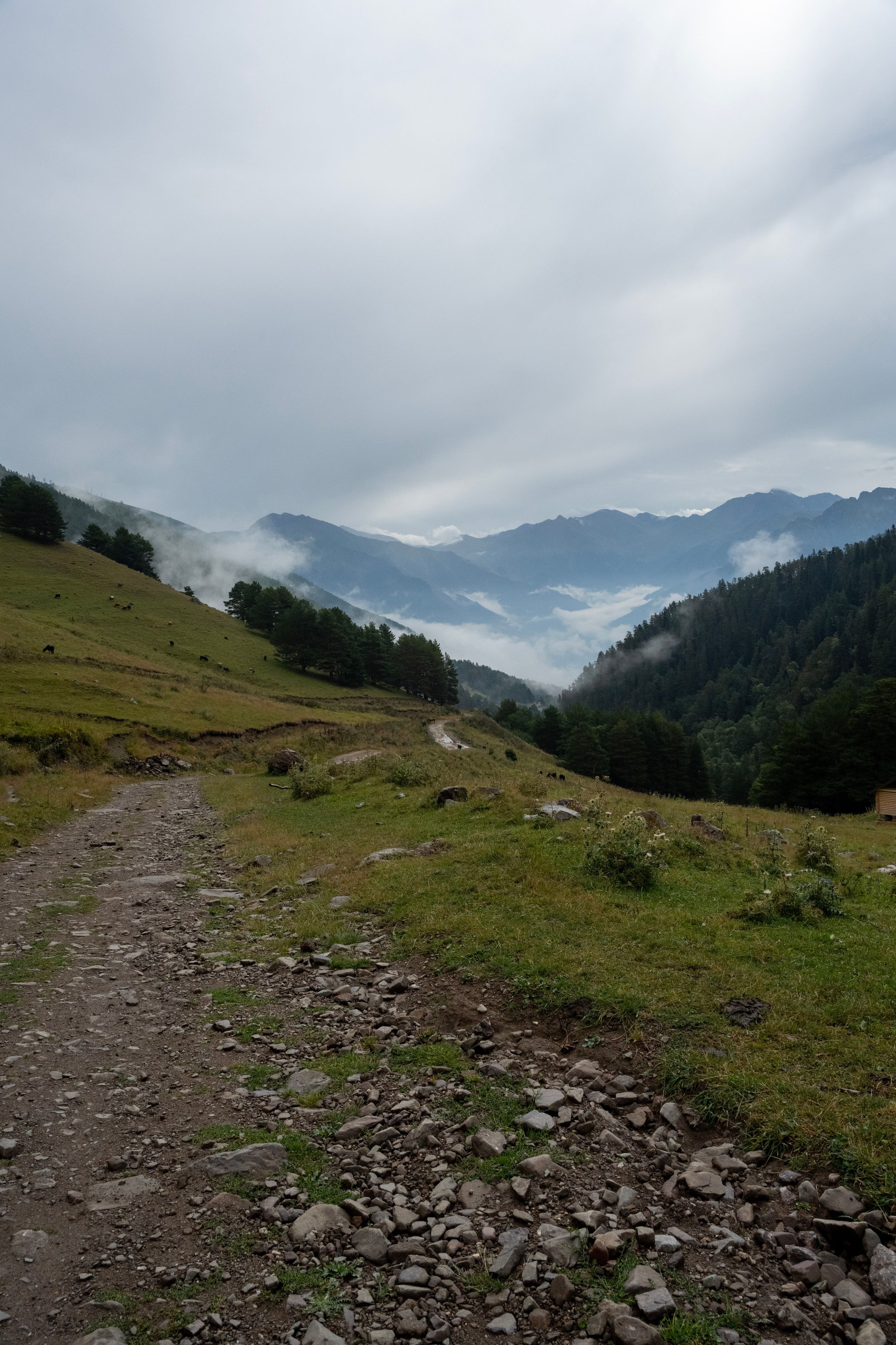 Экспедиция 2024