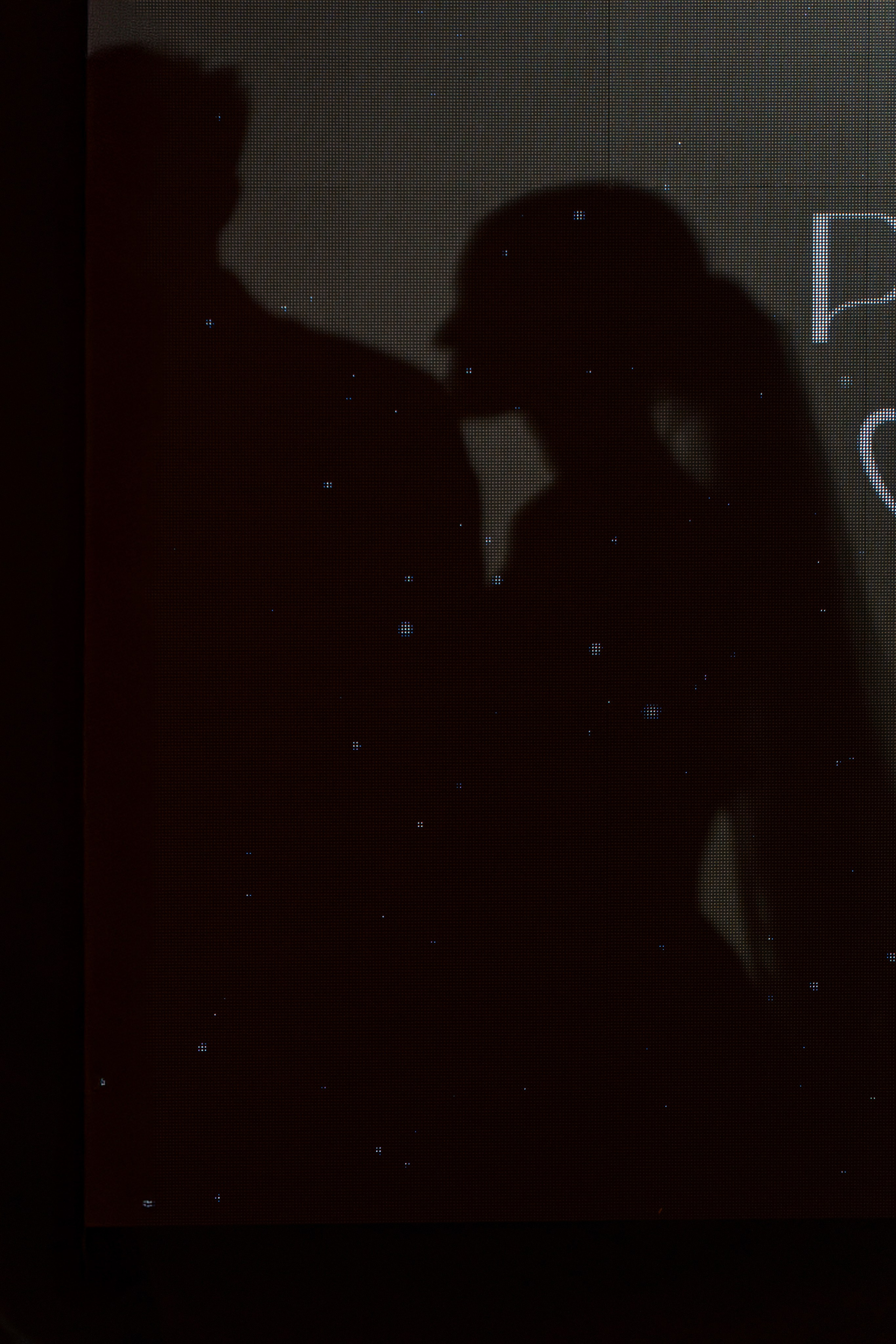 Свадебный вестник. Свадебный фотограф в Ростовe-на-Дону Анастасия Прутова