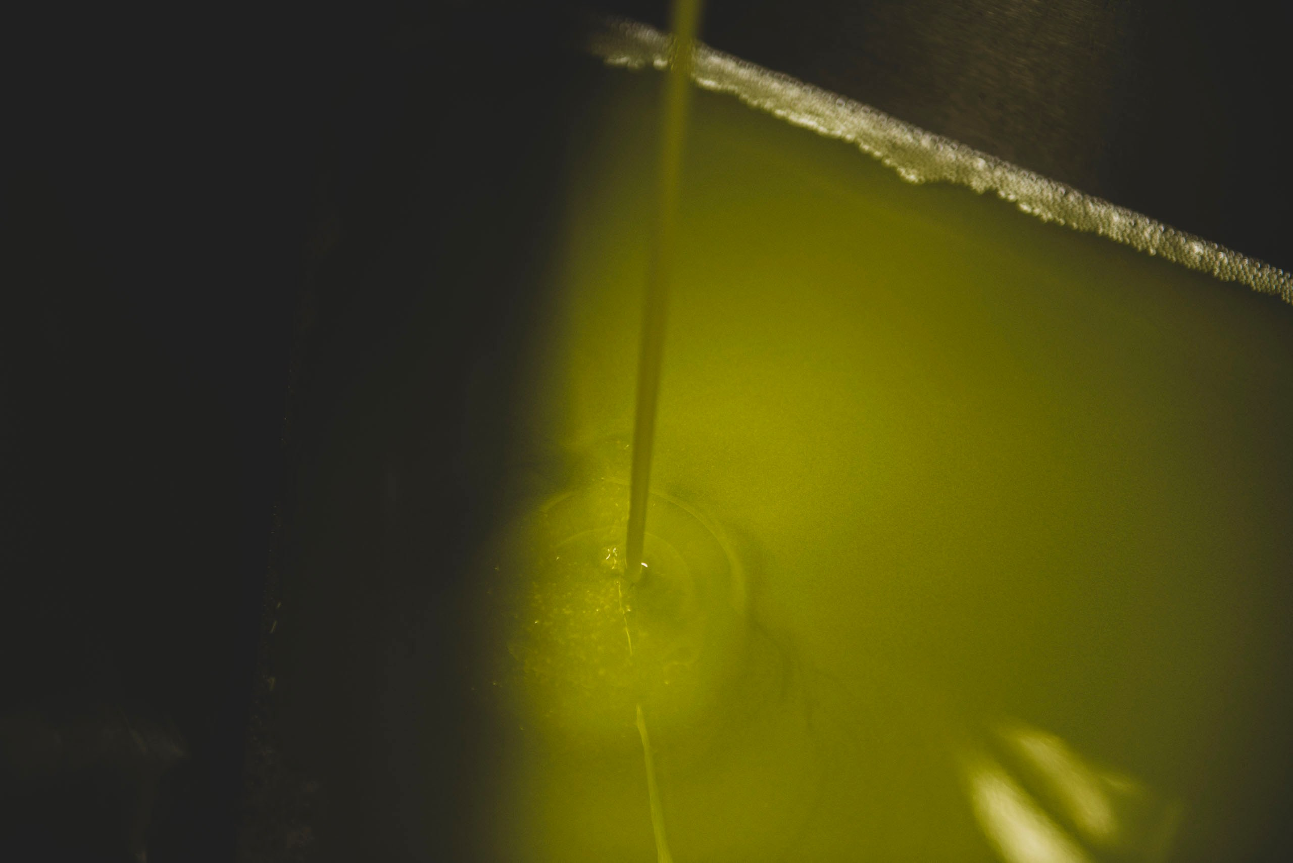 Капля Тосканы — фотопроект о маслобойне Frantoio Tistarelli и семье, создающей оливковое масло