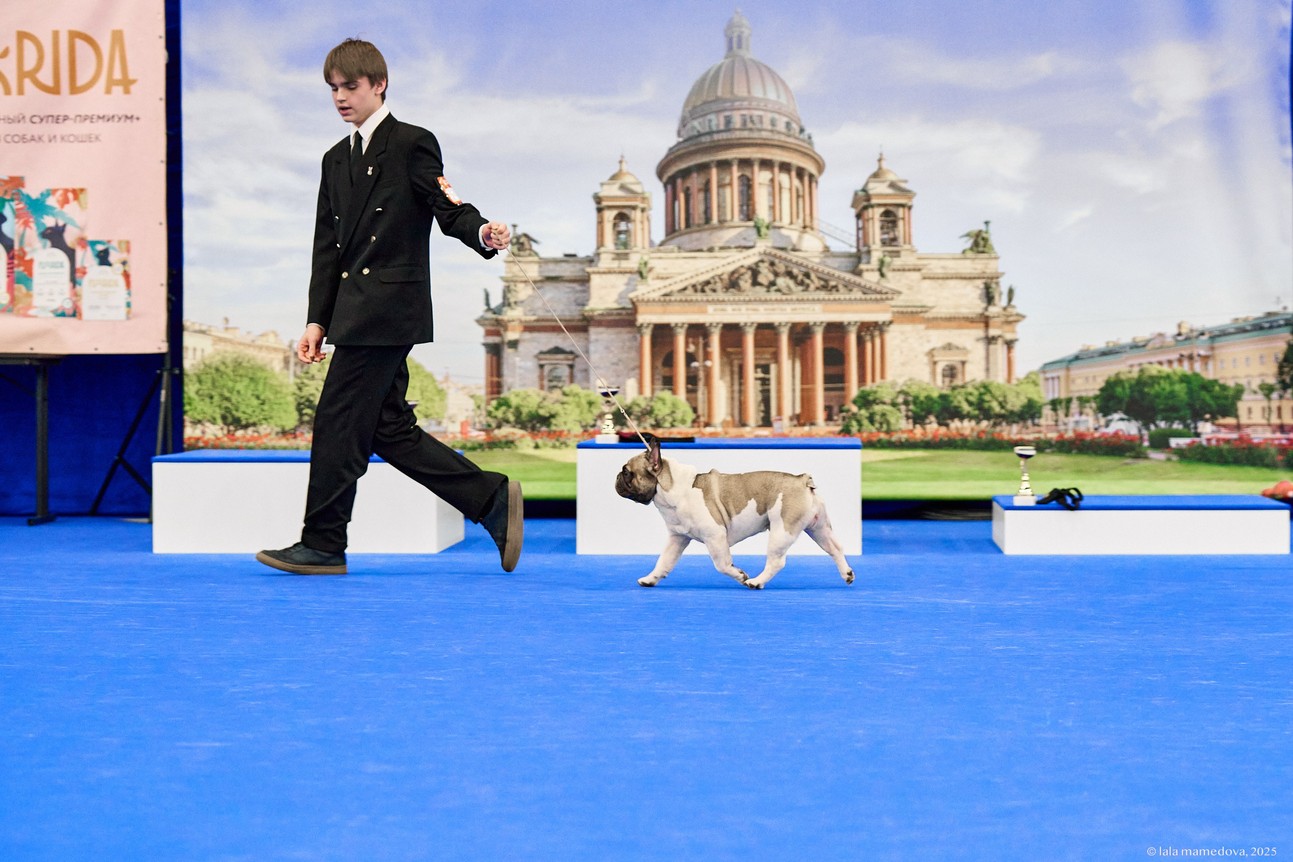 22-23 FEB 2025 | NATIONAL DOG SHOW «BALTIC TRIUMPH-2025»