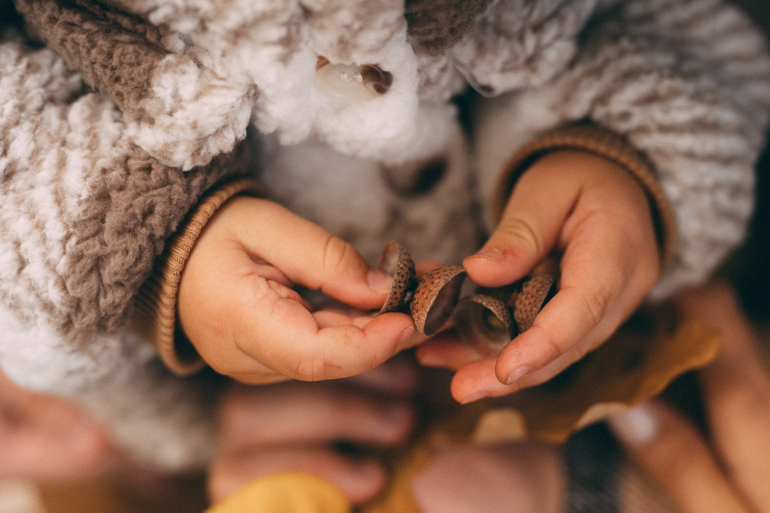 Золото осени. Семейный и женский фотограф в Санкт-Петербурге Татьяна Стружкина
