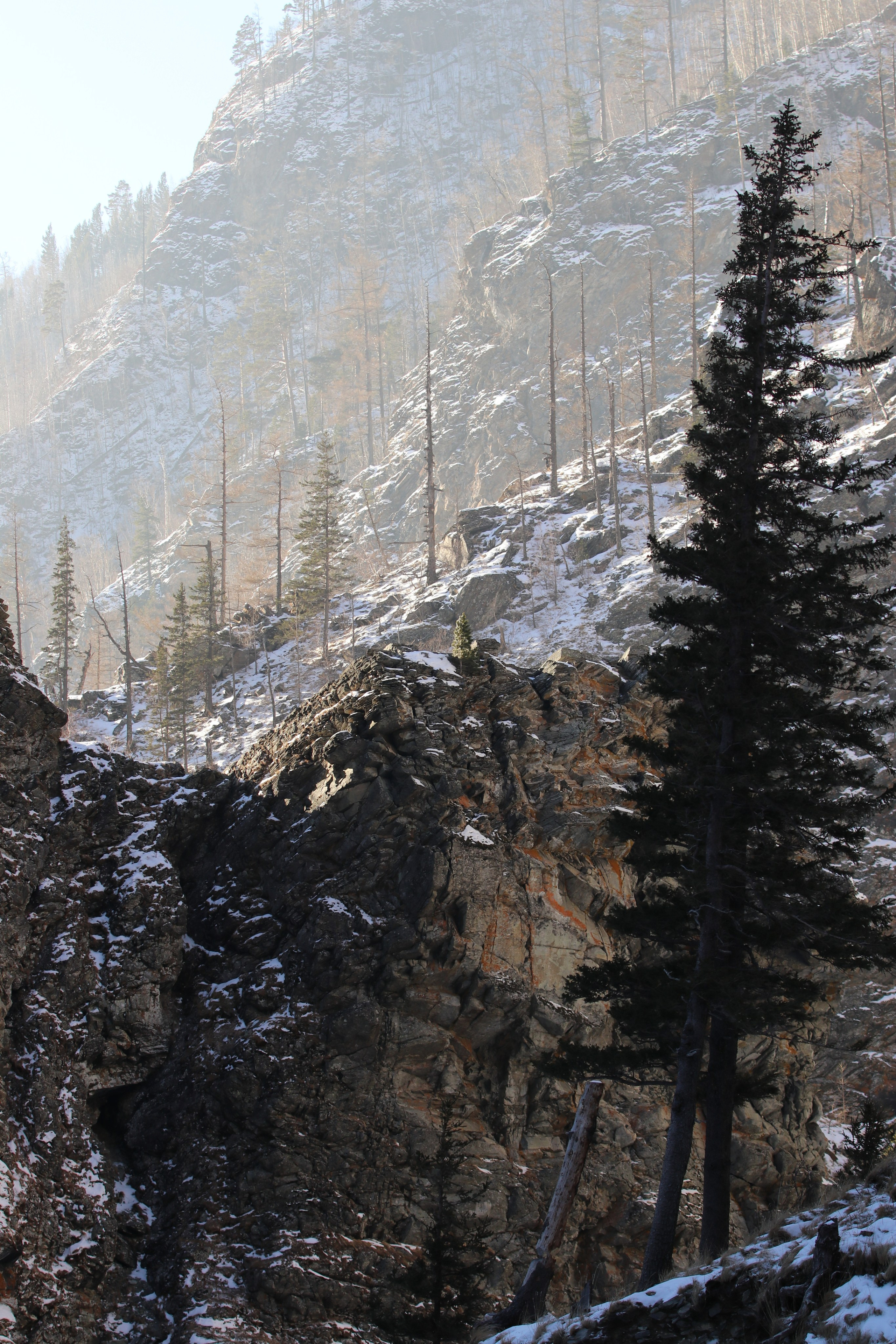 Аршан. Январь 2022. Путешественник-фотограф из Санкт-Петербурга Татьяна Свистулина