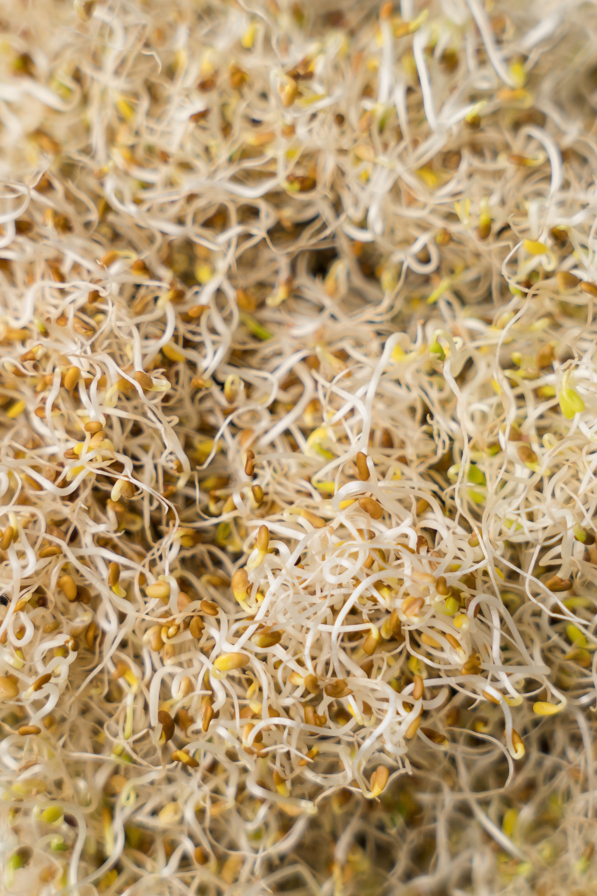 «ЧУДЕСНАЯ ЖИЗНЬ». Фотограф в Москве Казакова Анна