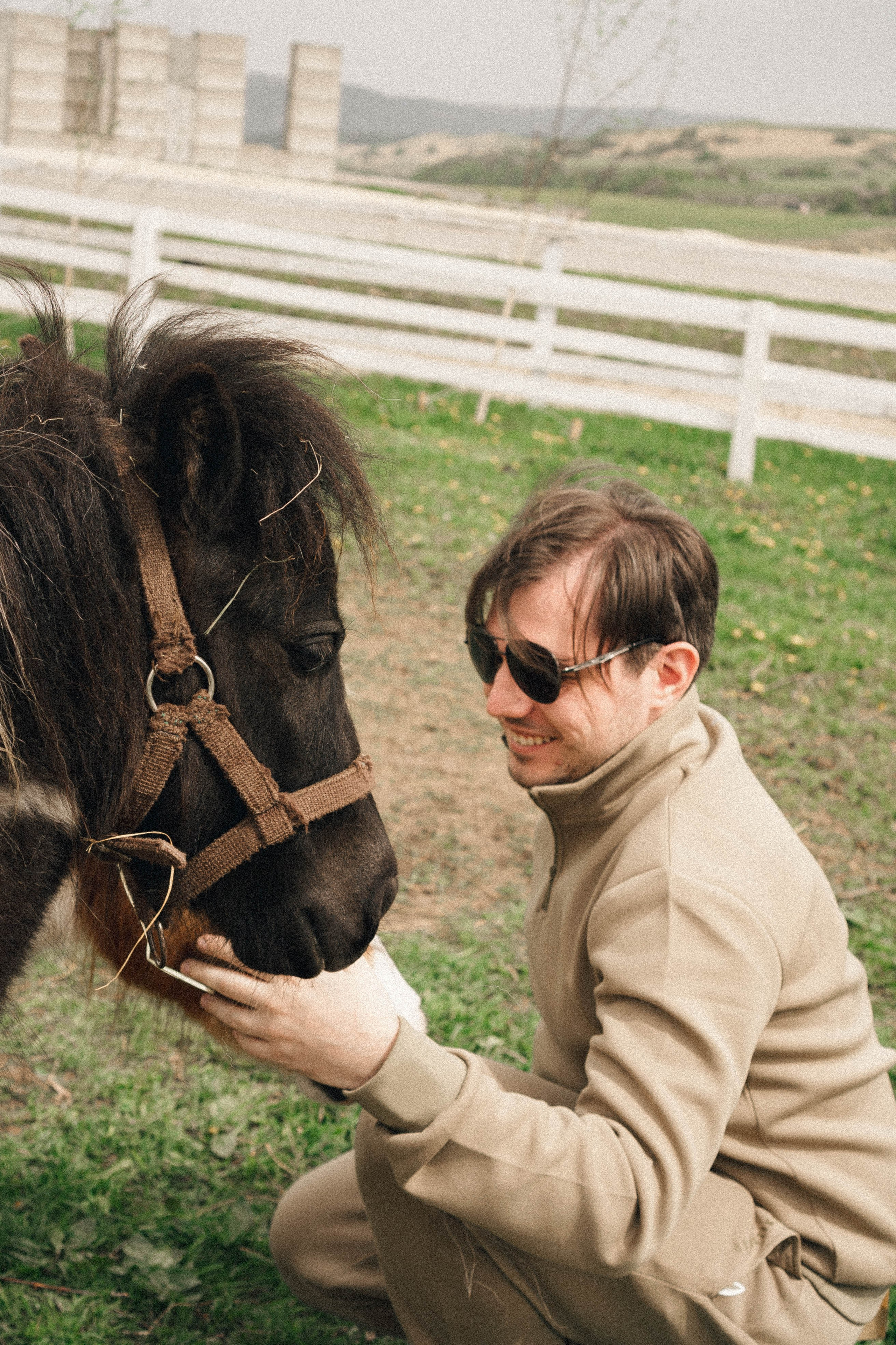 Ферма Альпак. Профессиональный фотограф, Санкт-Петербург — Виктория Богомолова