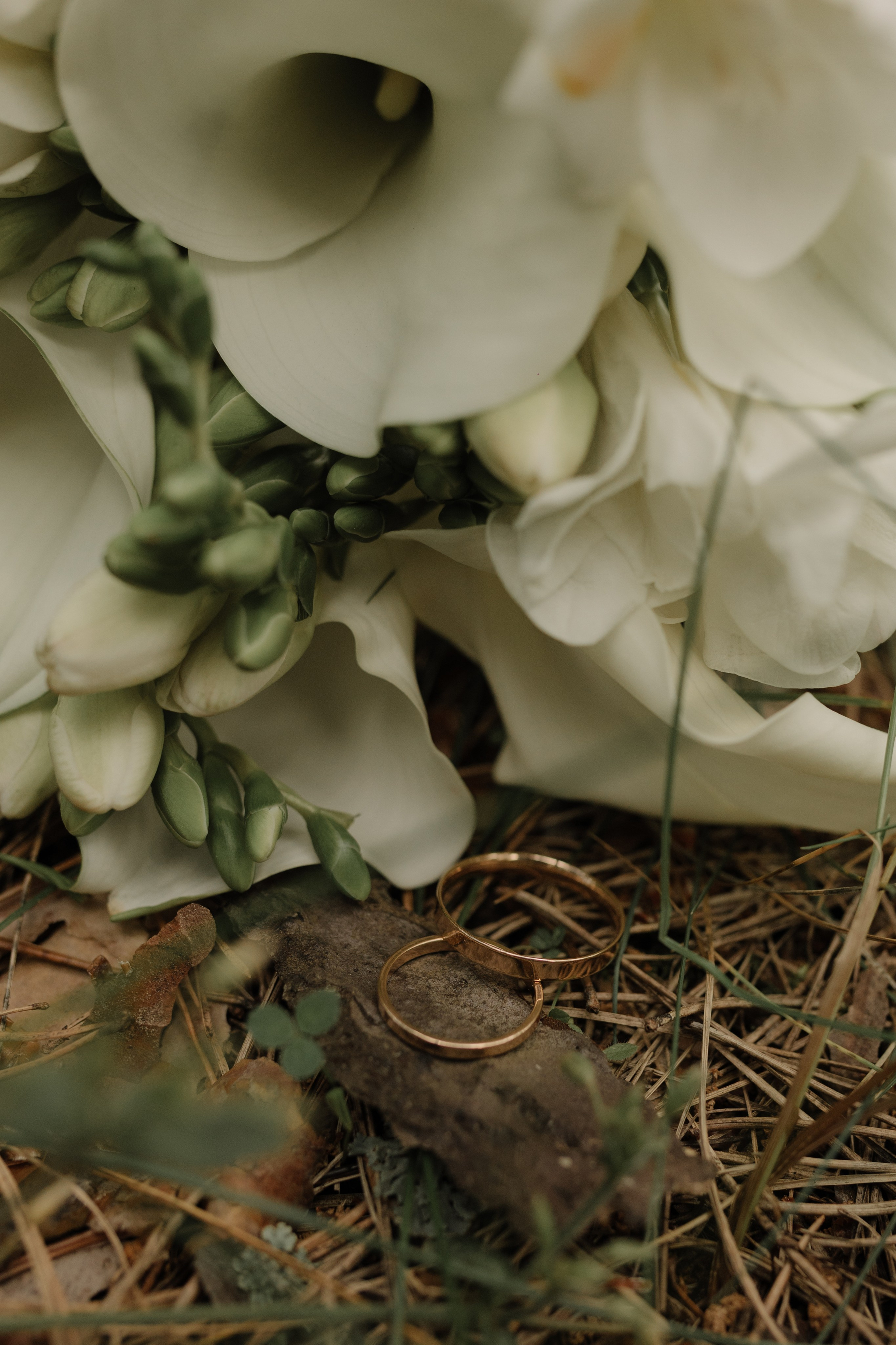 Родион и Валенина. Семейный фотограф в Обнинске
