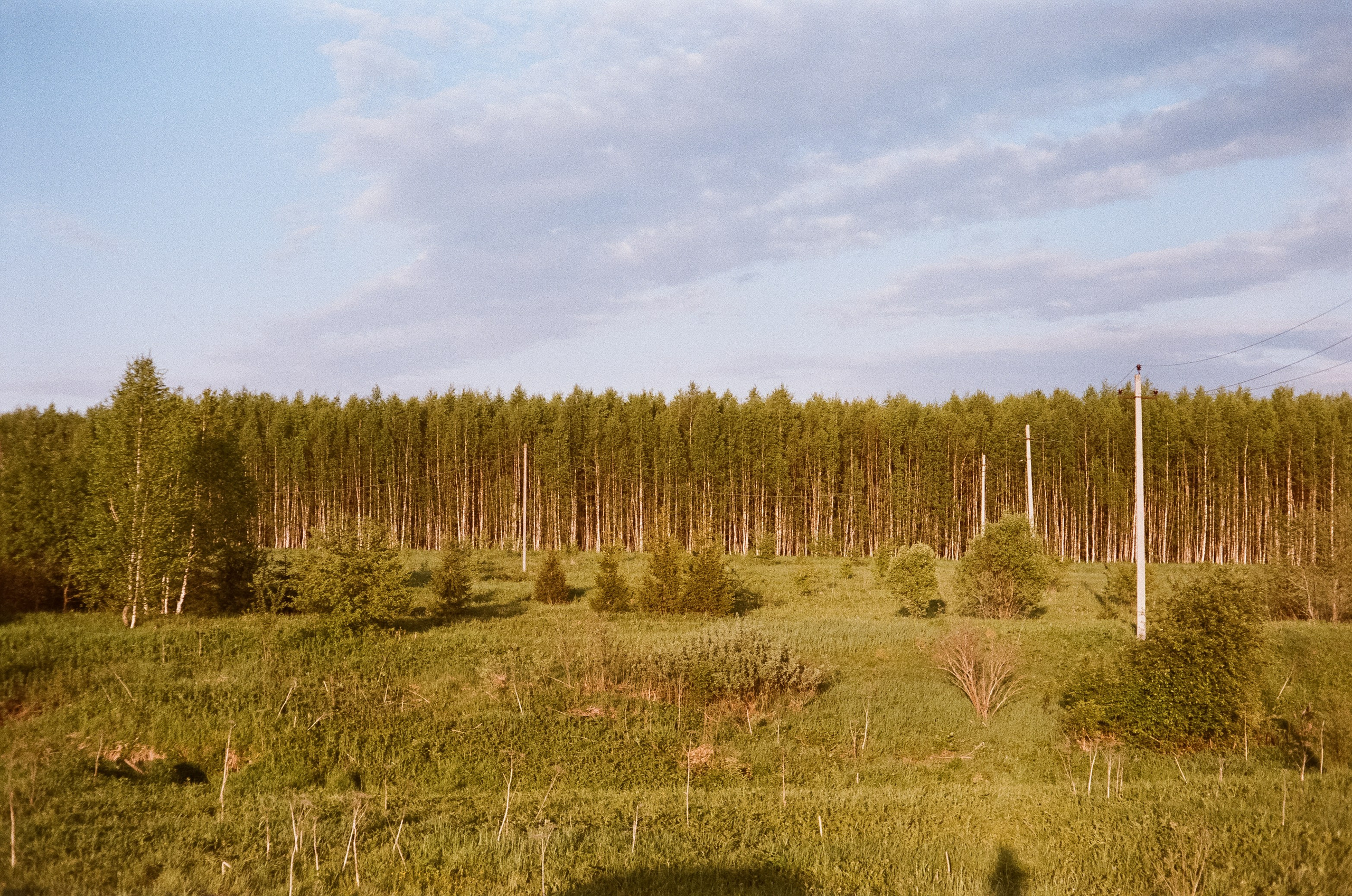 Konica IIIA / Fujicolor Superia 200 (просрочка) / Благовещенский переу