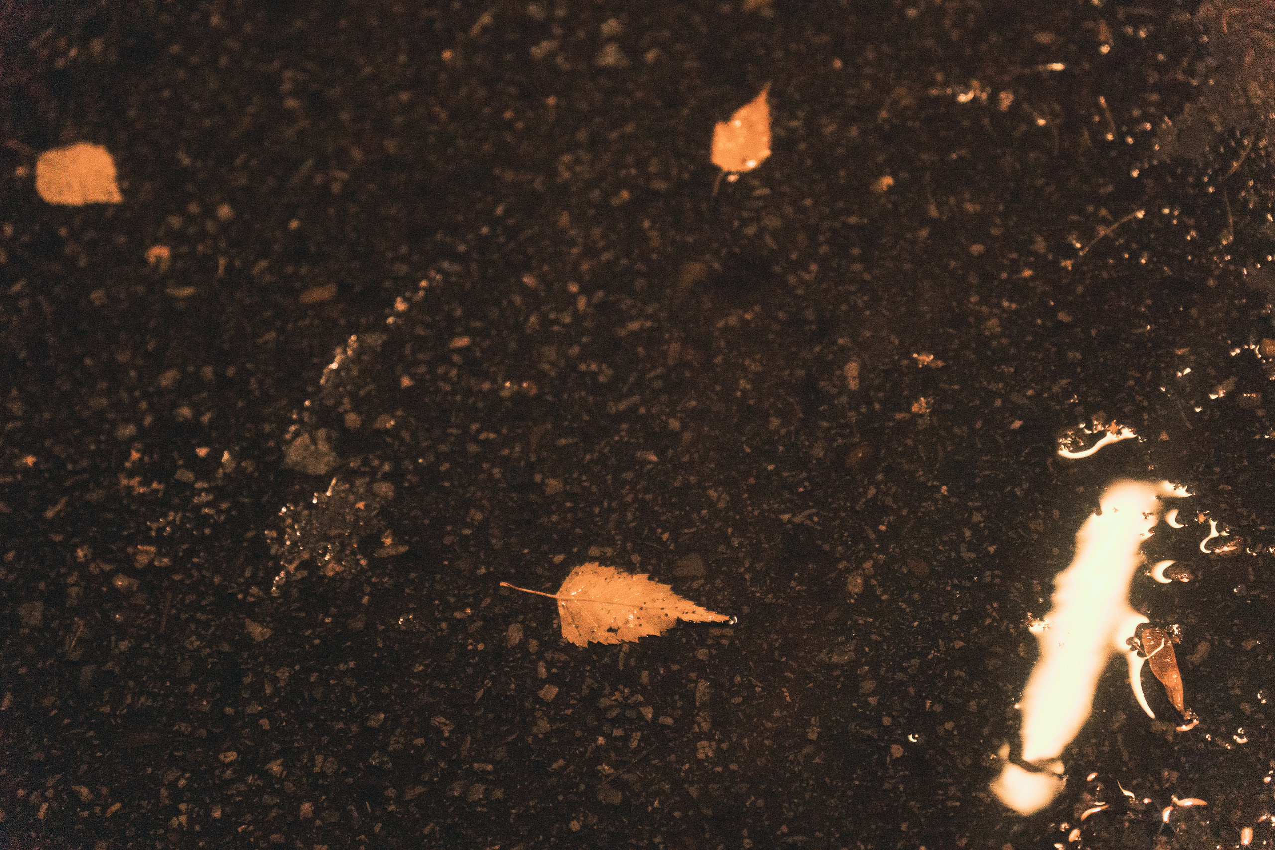 Роберт. Портретный и семейный фотограф в Перми Мила Ульянова