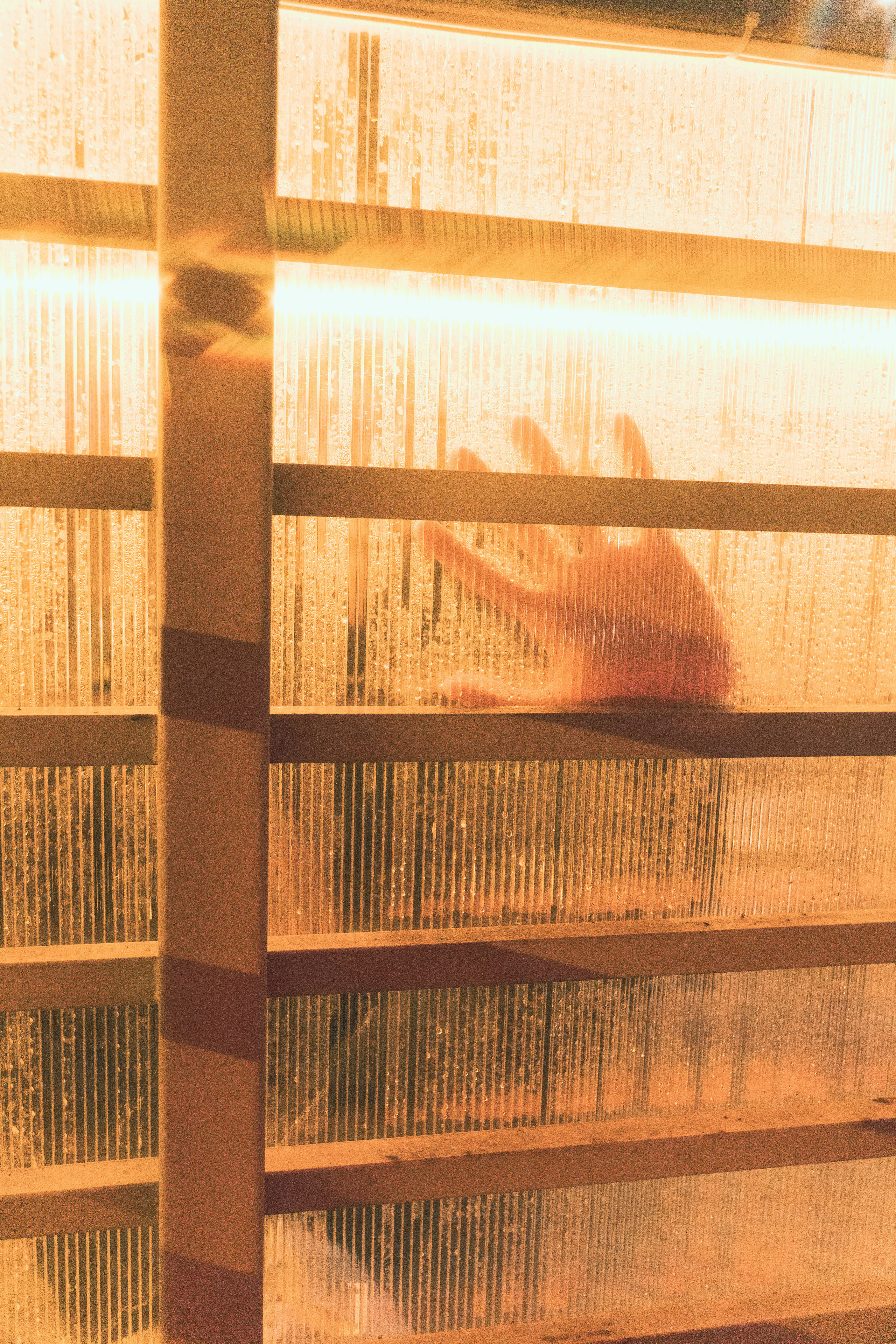 Роберт. Портретный и семейный фотограф в Перми Мила Ульянова