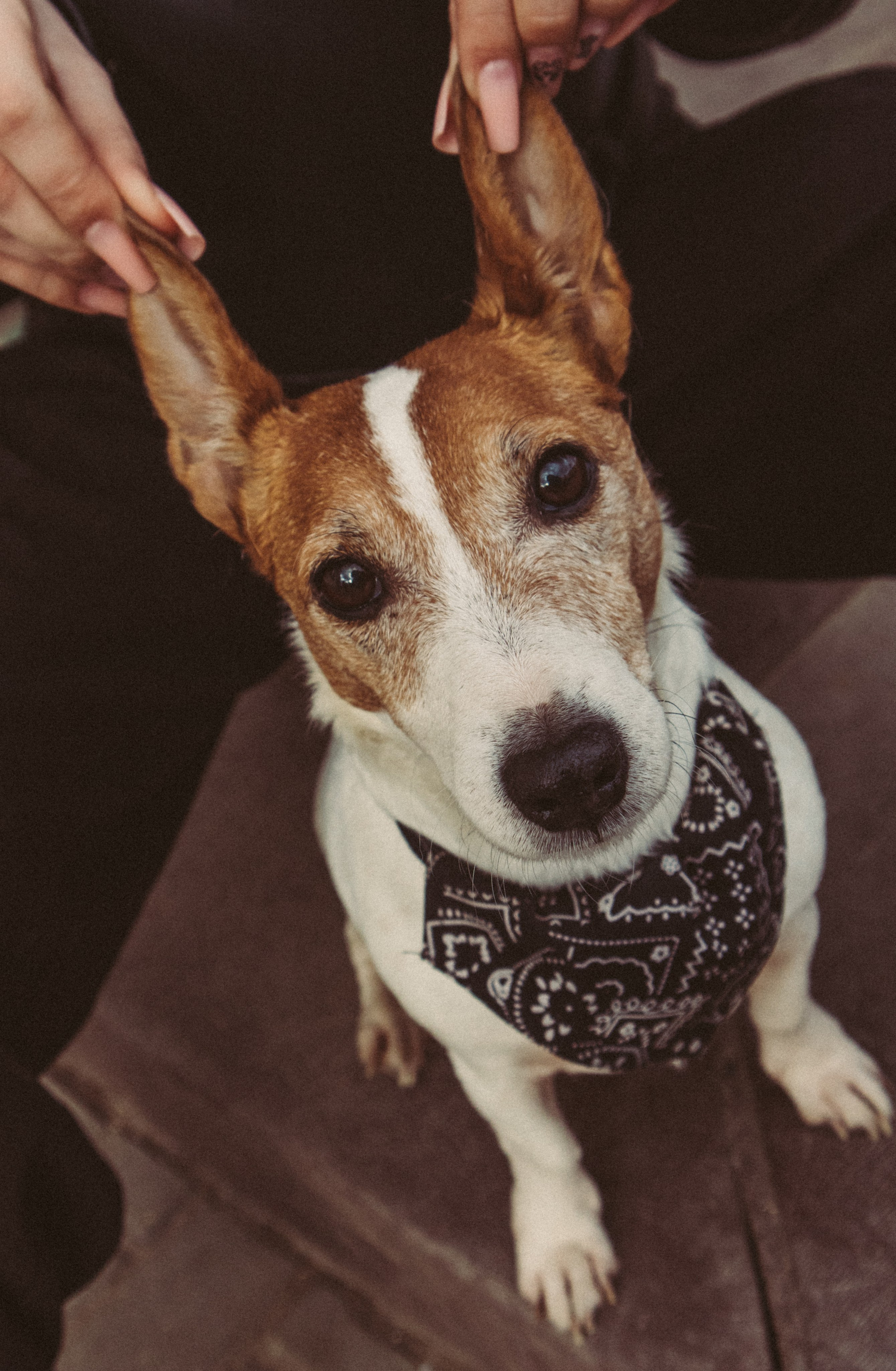 Полина и Греночка. Фотограф в Твери Дарья Уткина