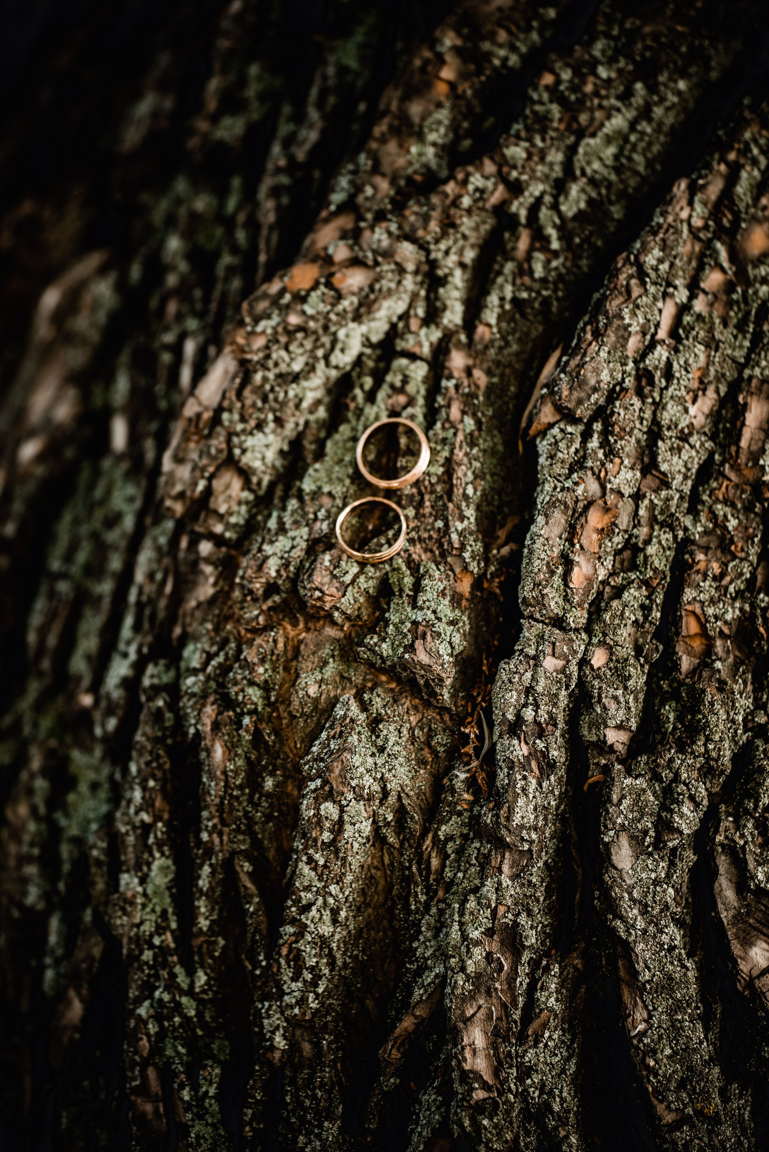 Ожидание. Свадебный и семейный фотограф Москва Видное Домодедово