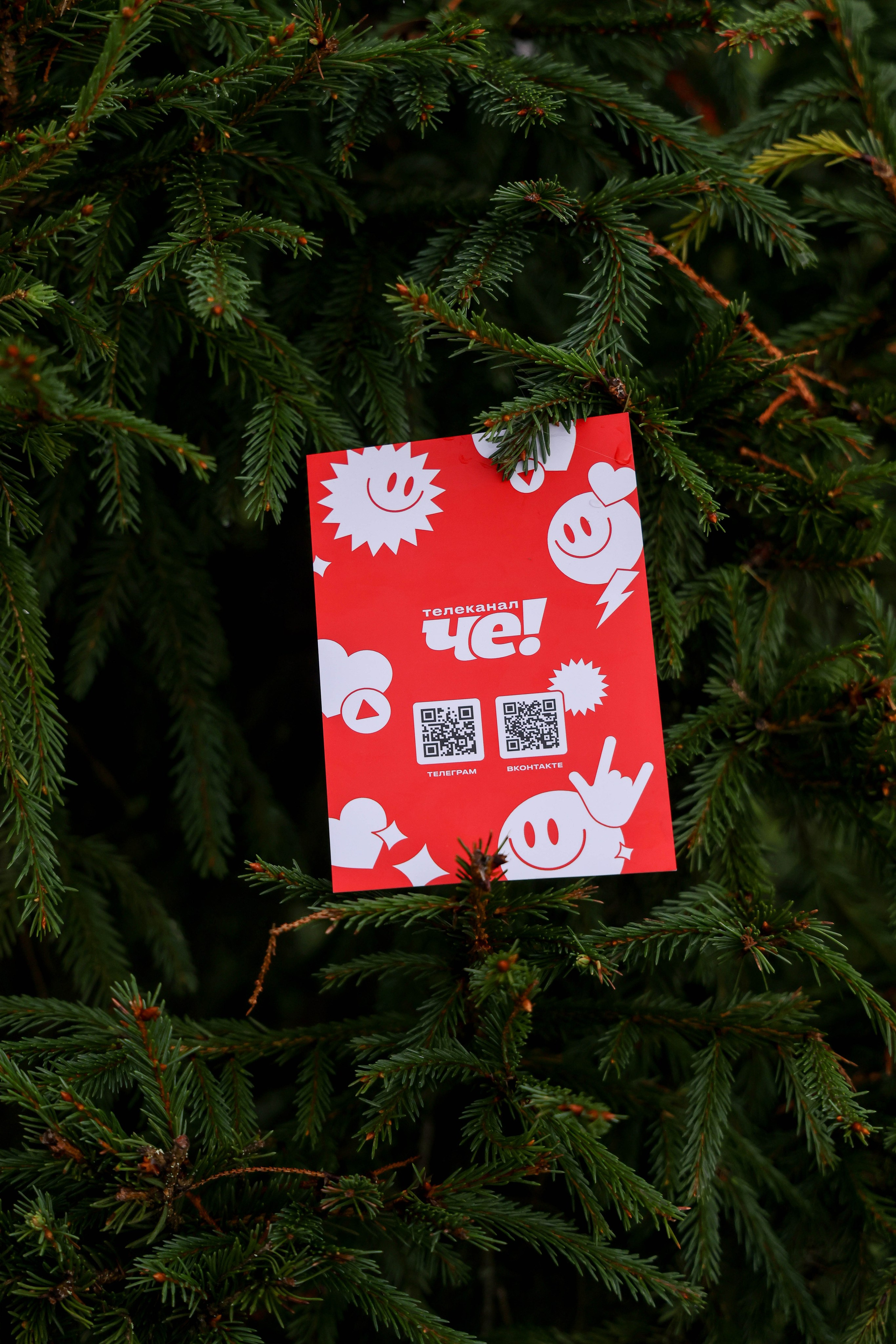 ЧЕ на НашРокФест. Фотограф Антон Чупринин