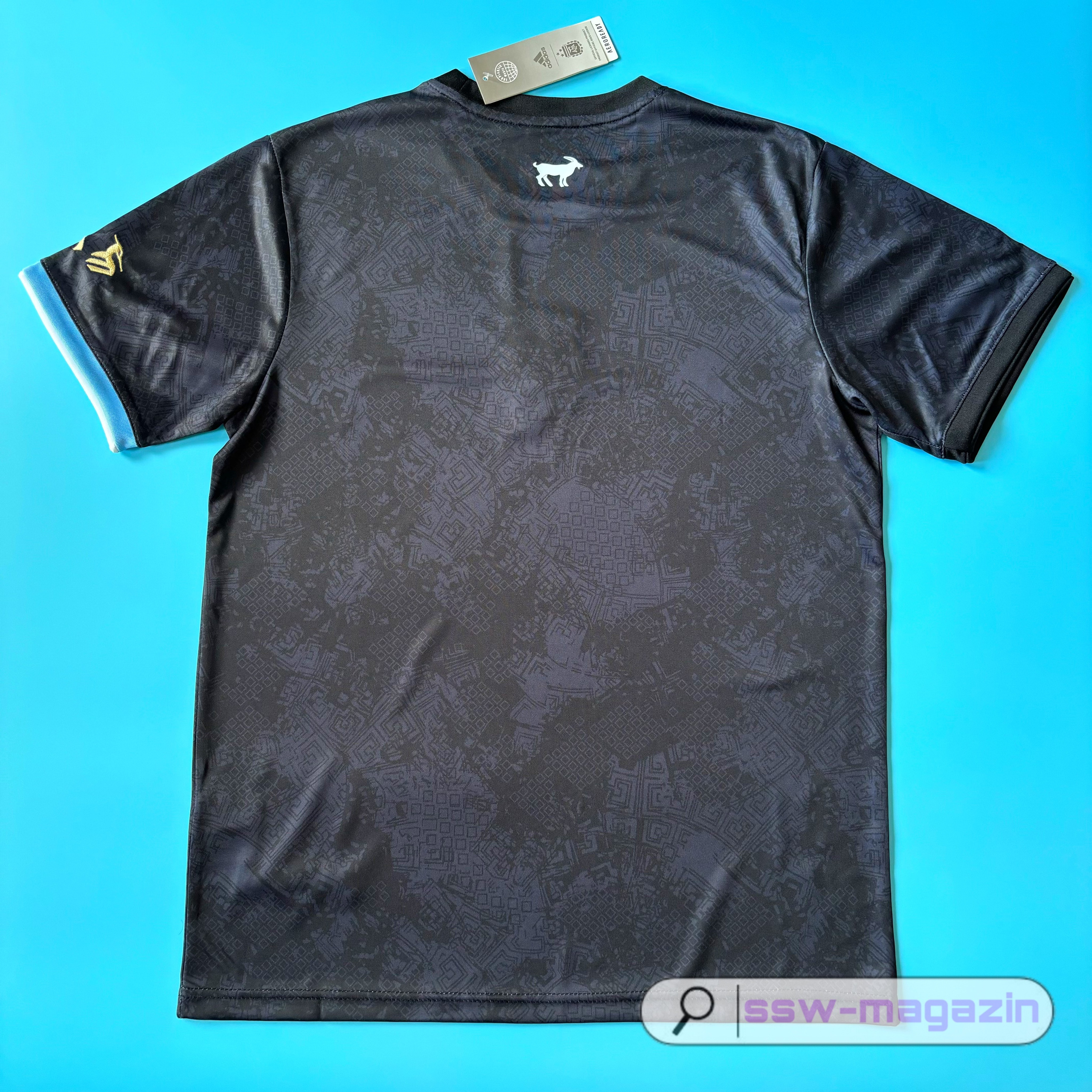 Футболка сборной Аргентины 2024. Футбольный магазин — ssw_magazin