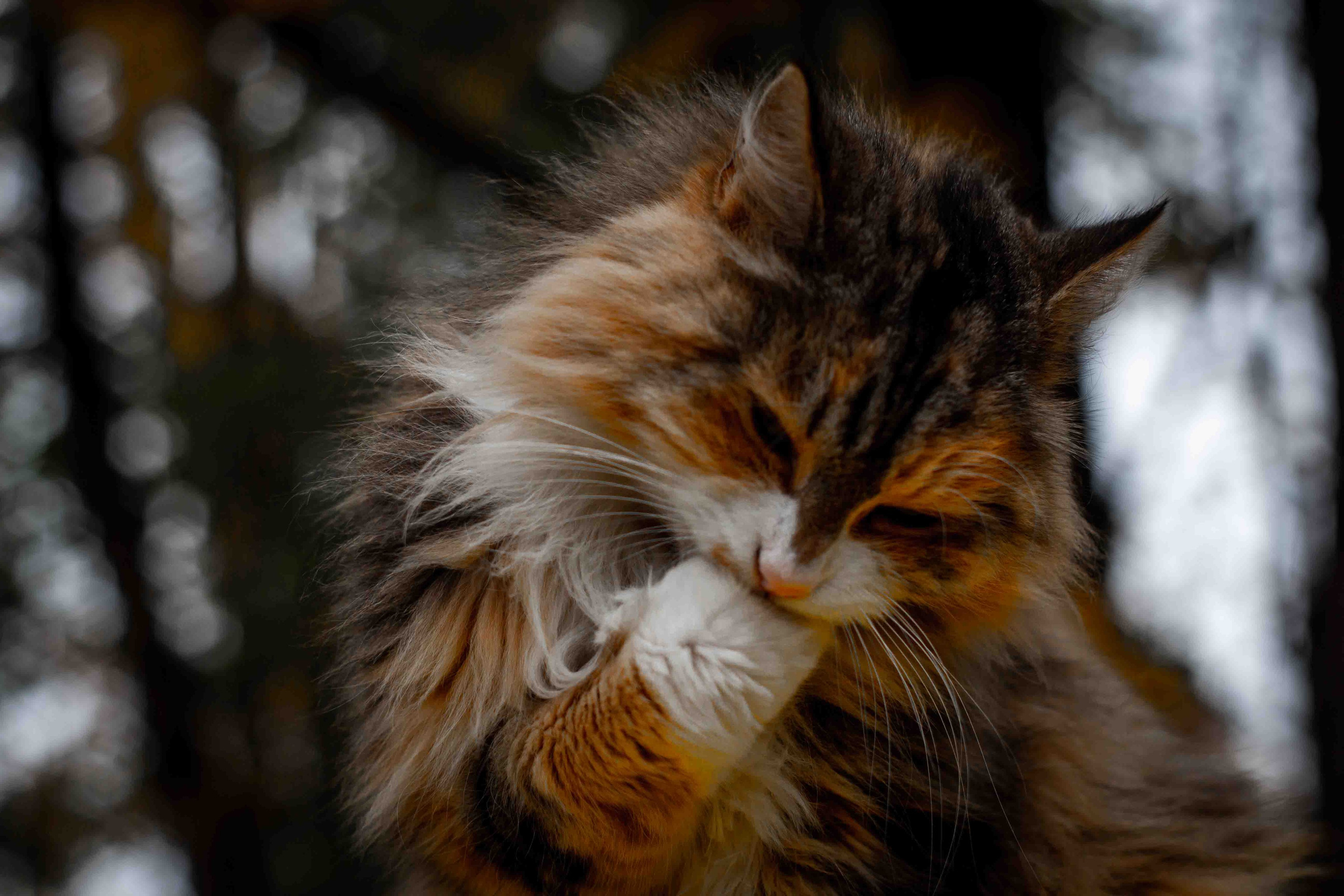 Осеннее настроение. Александр Попов