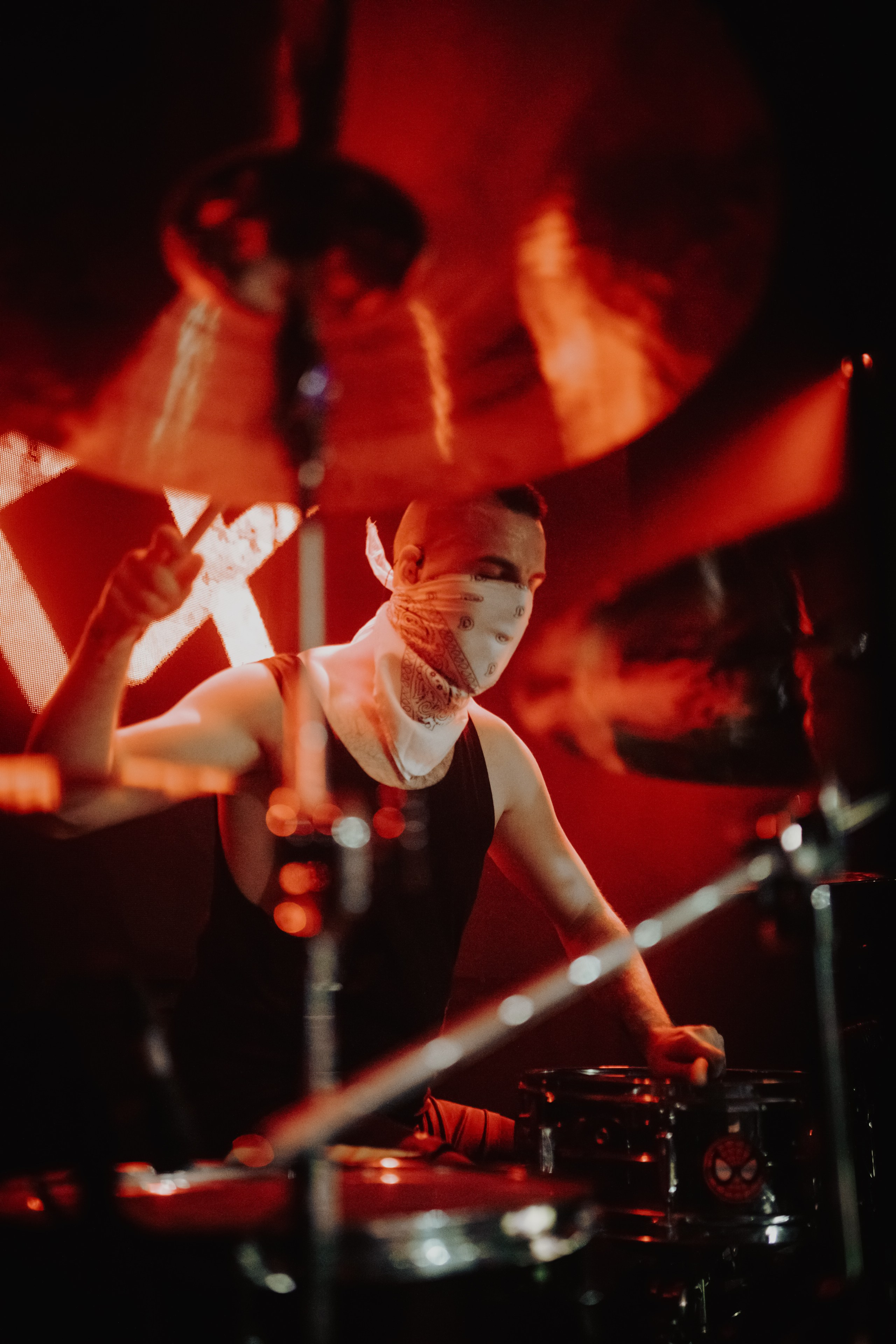 THE KAT IS DEAD. Фотограф Елена Богачева (lenalena_na_na_na)