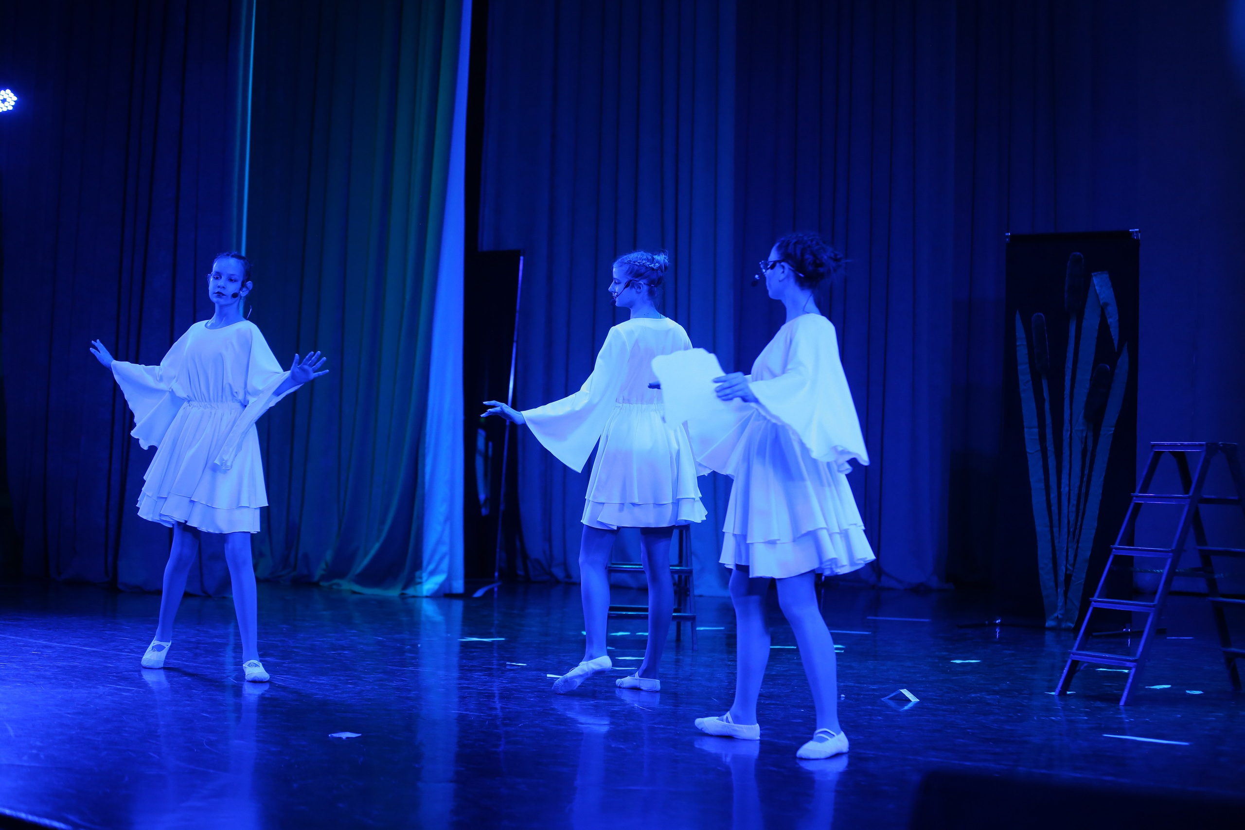 ТС ФАНТАЗИЯ — БЕНЕФИС 25 ЛЕТ. Профессиональный фотограф в Мценске и Орловской области