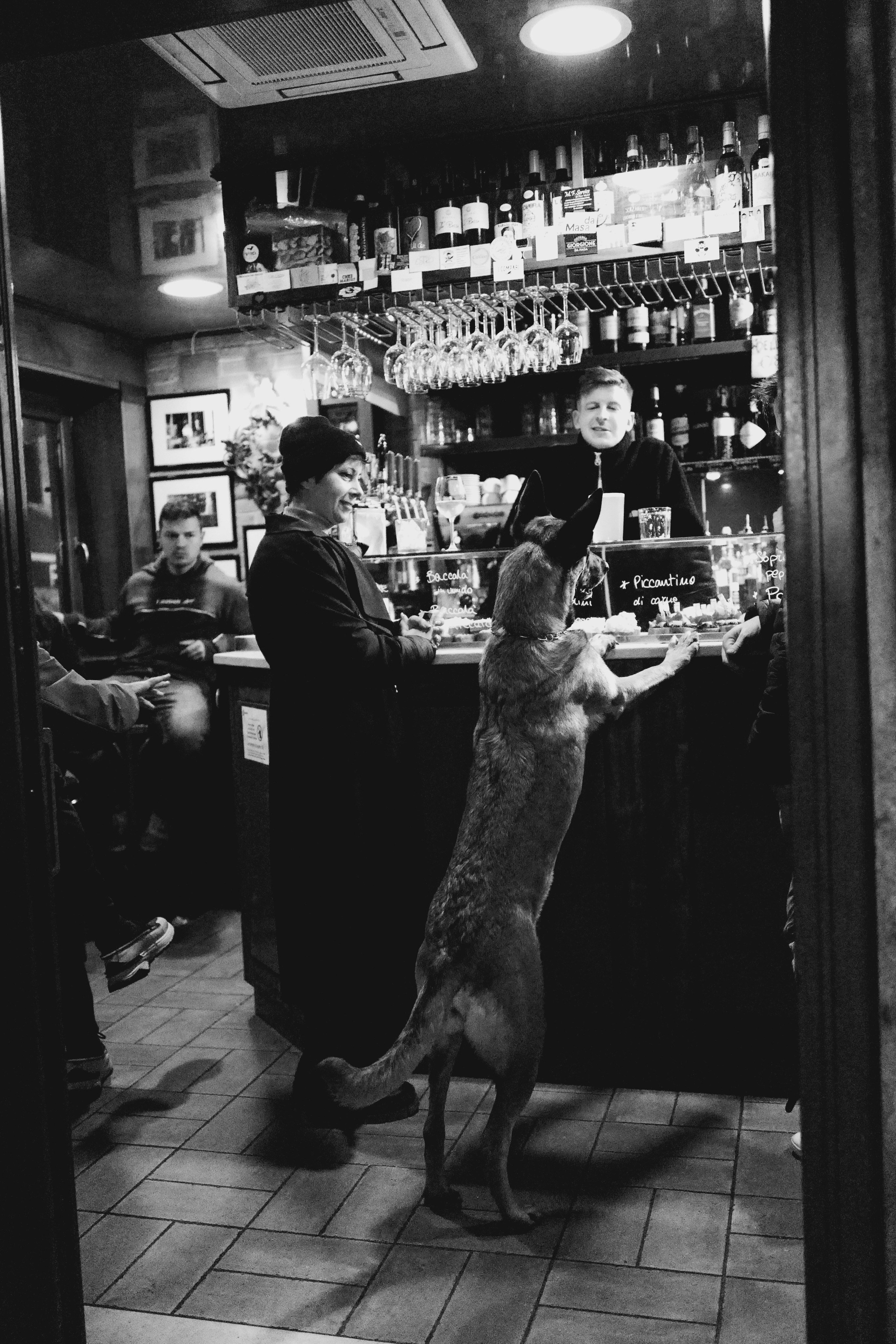 Venice. Фотограф Евгения Добротворская
