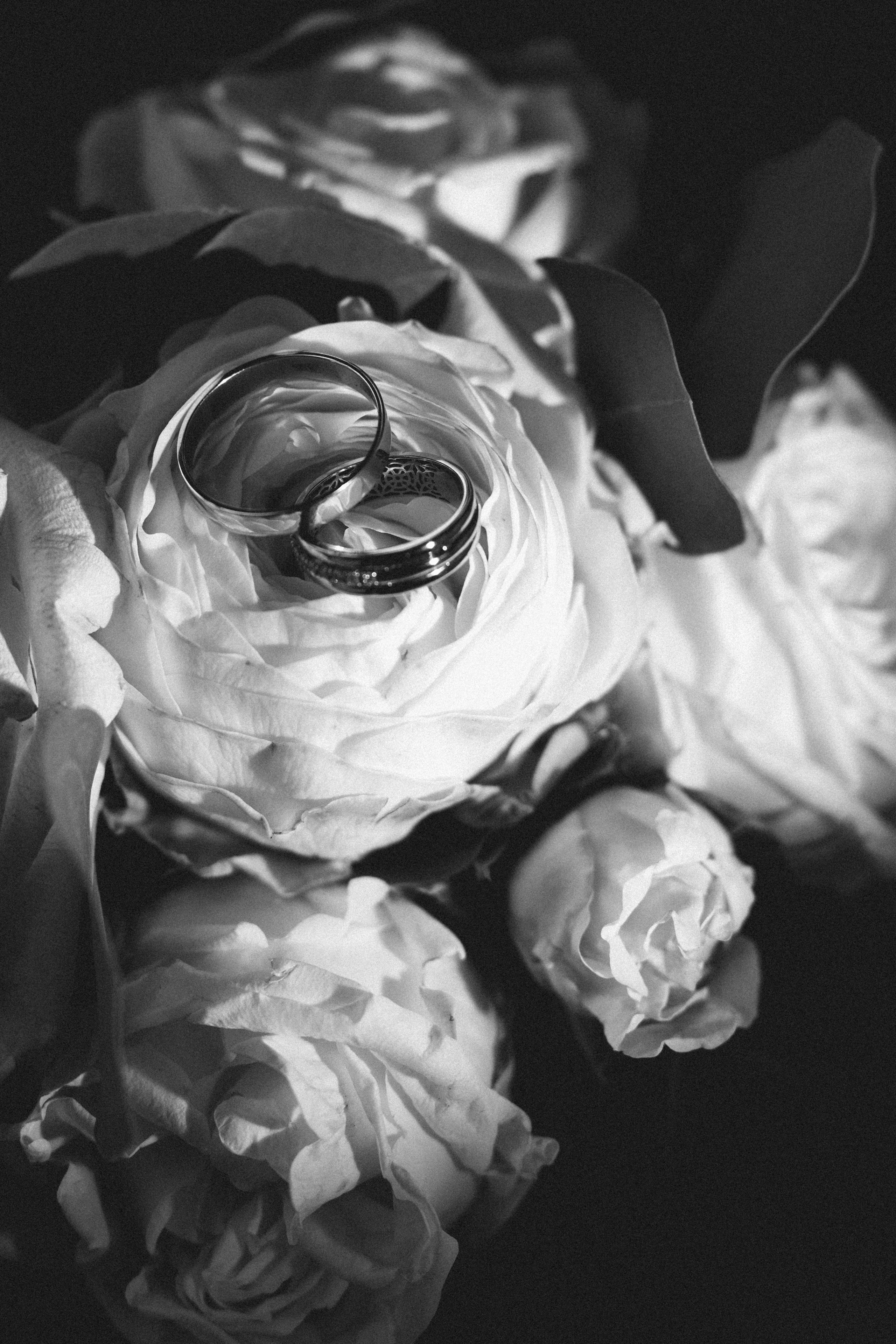 Александр и Екатерина. Фотограф Красноярск Екатерина Карпеза