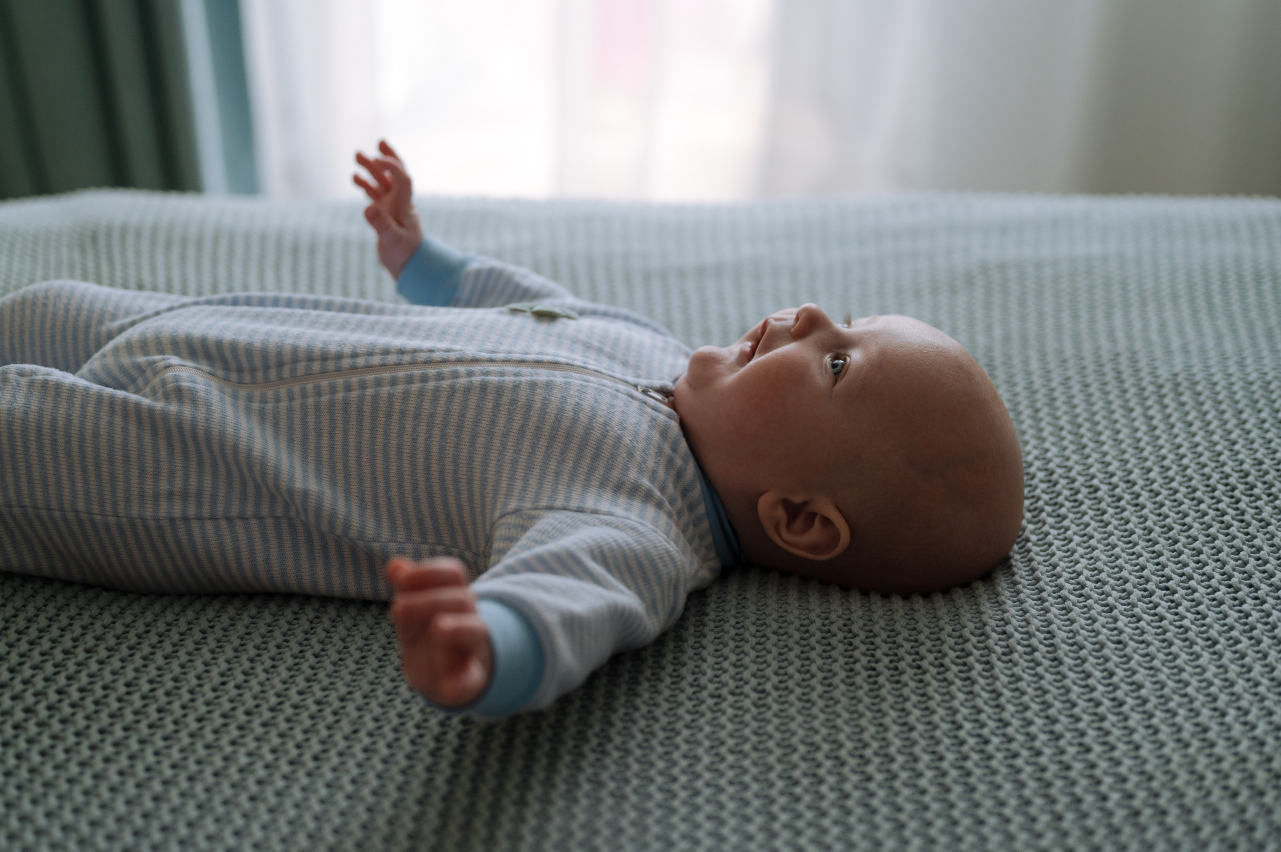 Миша, домашняя новогодняя. Фотограф Красноярск Екатерина Карпеза