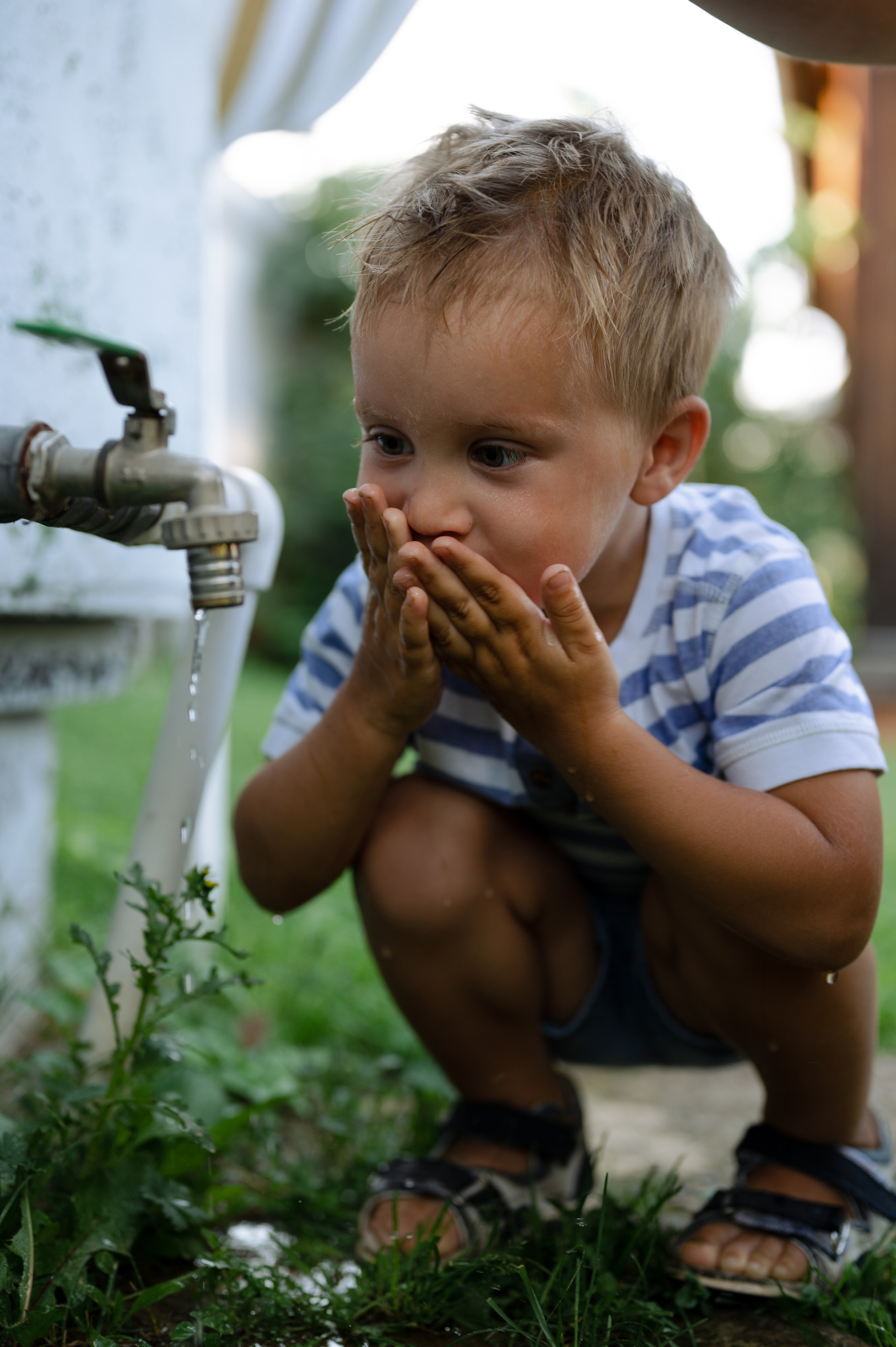 Алексеевы, дача. Фотограф Красноярск Екатерина Карпеза