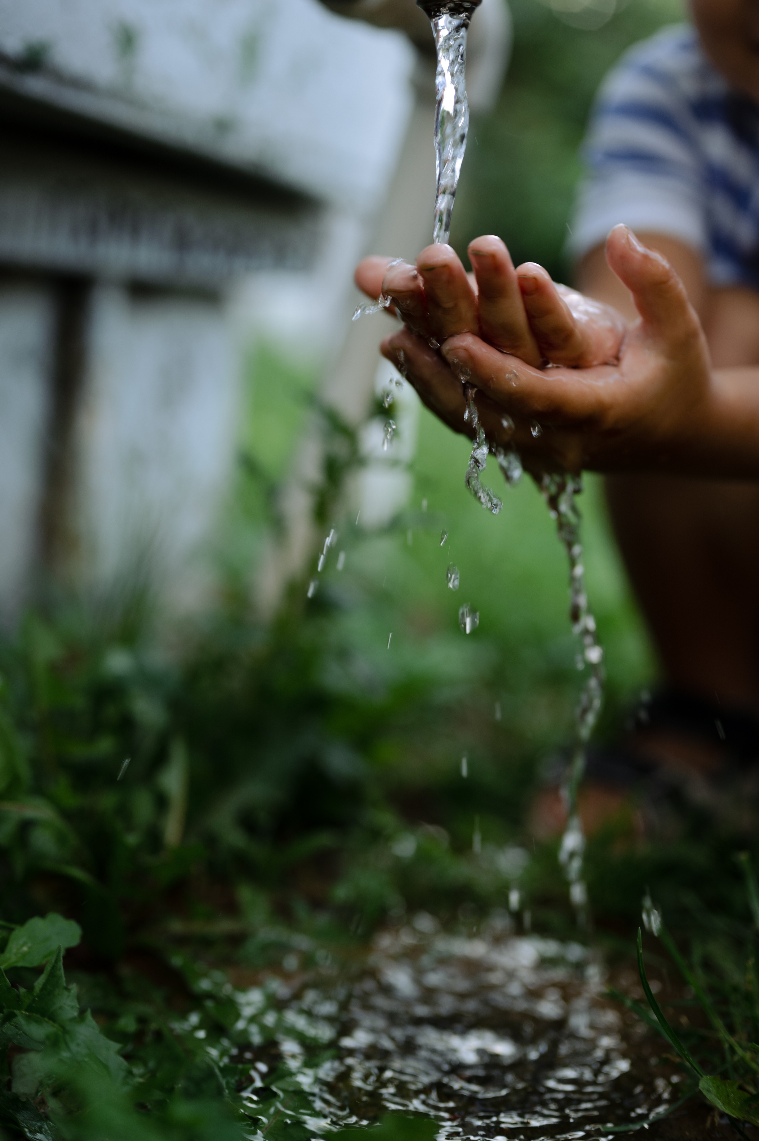 Алексеевы, дача. Фотограф Красноярск Екатерина Карпеза
