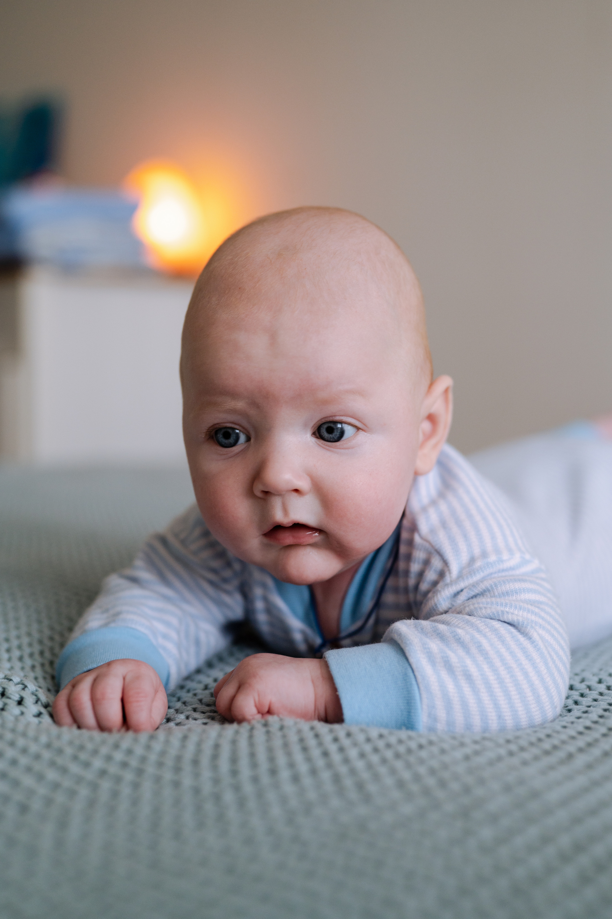 Миша, домашняя новогодняя. Фотограф Красноярск Екатерина Карпеза