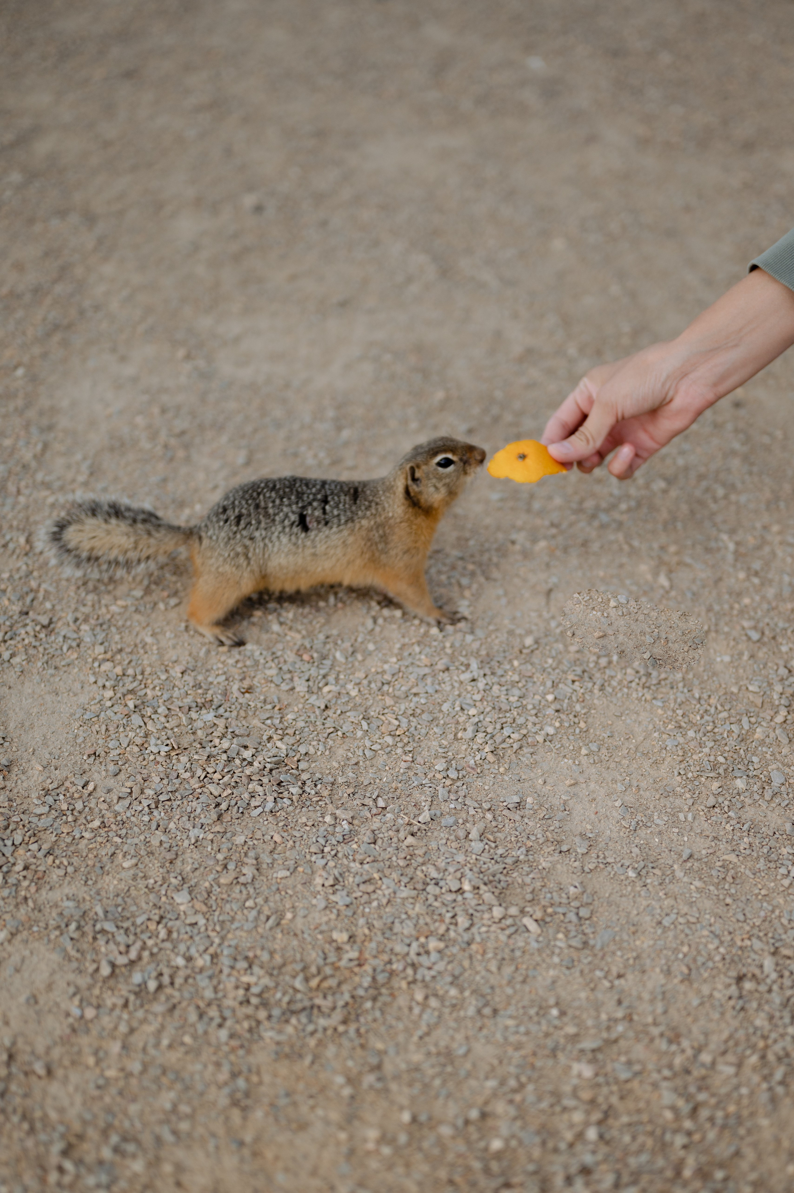 Милаша, Татышев. Фотограф Красноярск Екатерина Карпеза