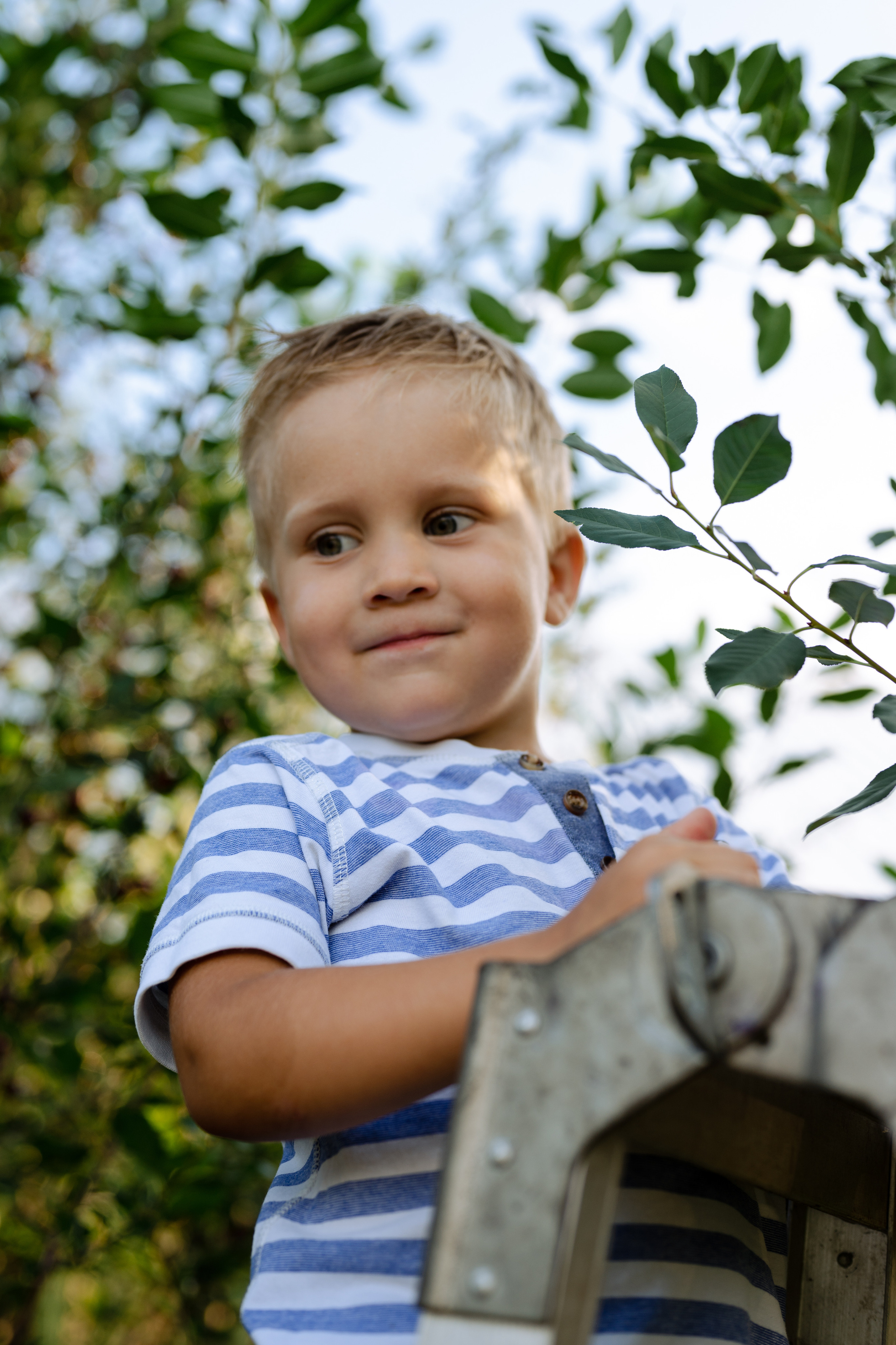 Алексеевы, дача. Фотограф Красноярск Екатерина Карпеза