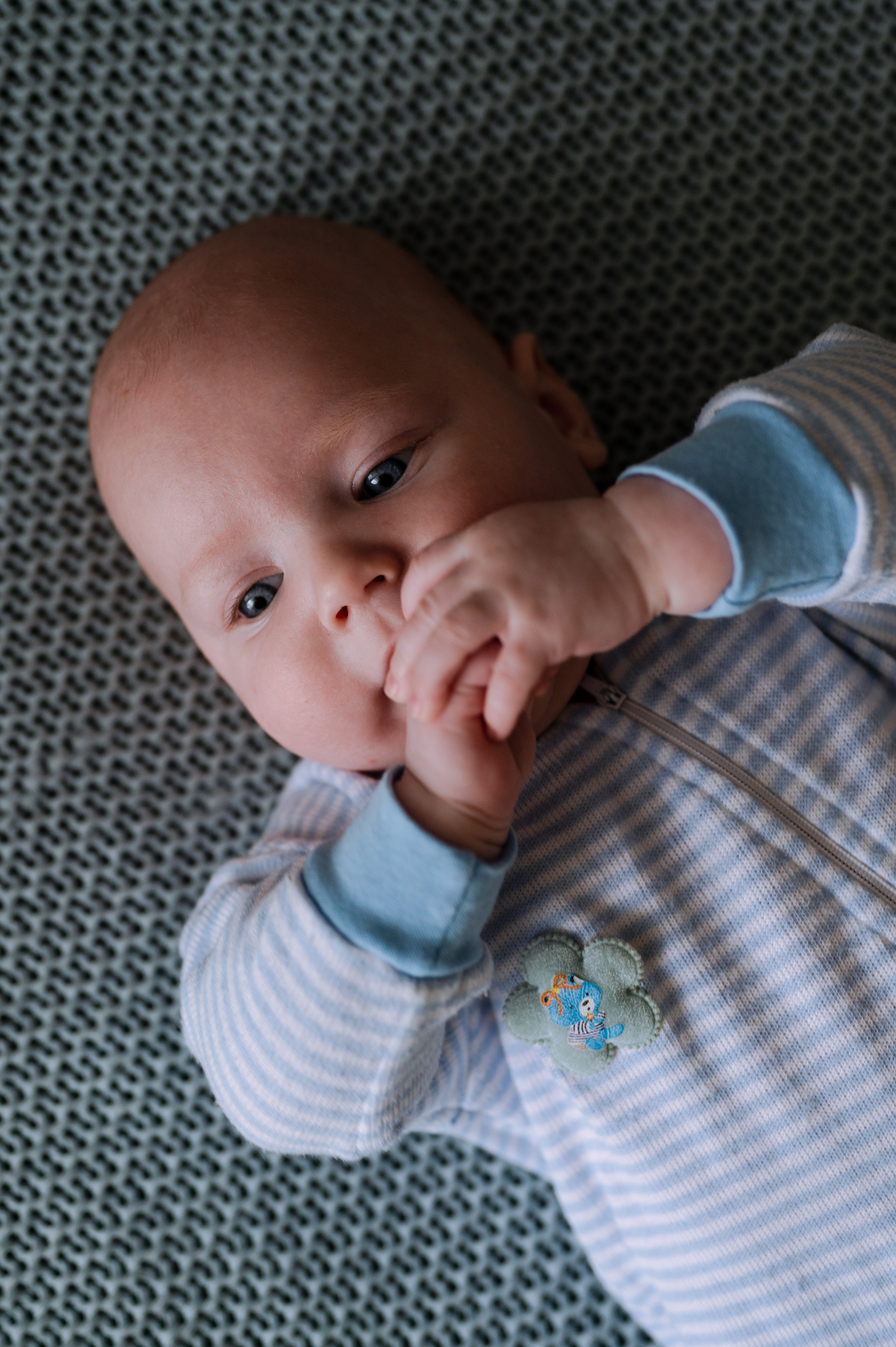 Миша, домашняя новогодняя. Фотограф Красноярск Екатерина Карпеза