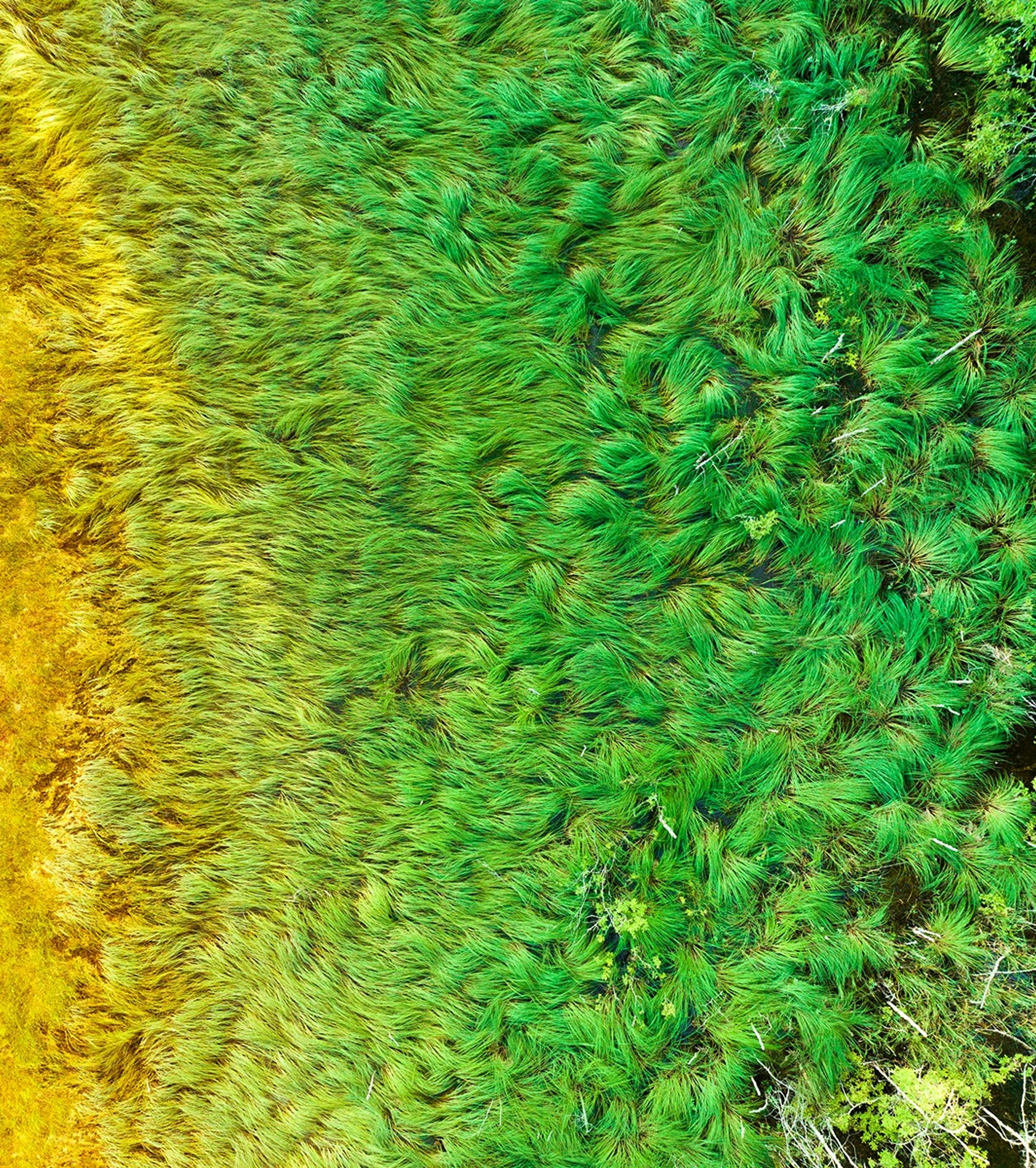 Карельский Перешеек. Фотограф Владимир Медведев