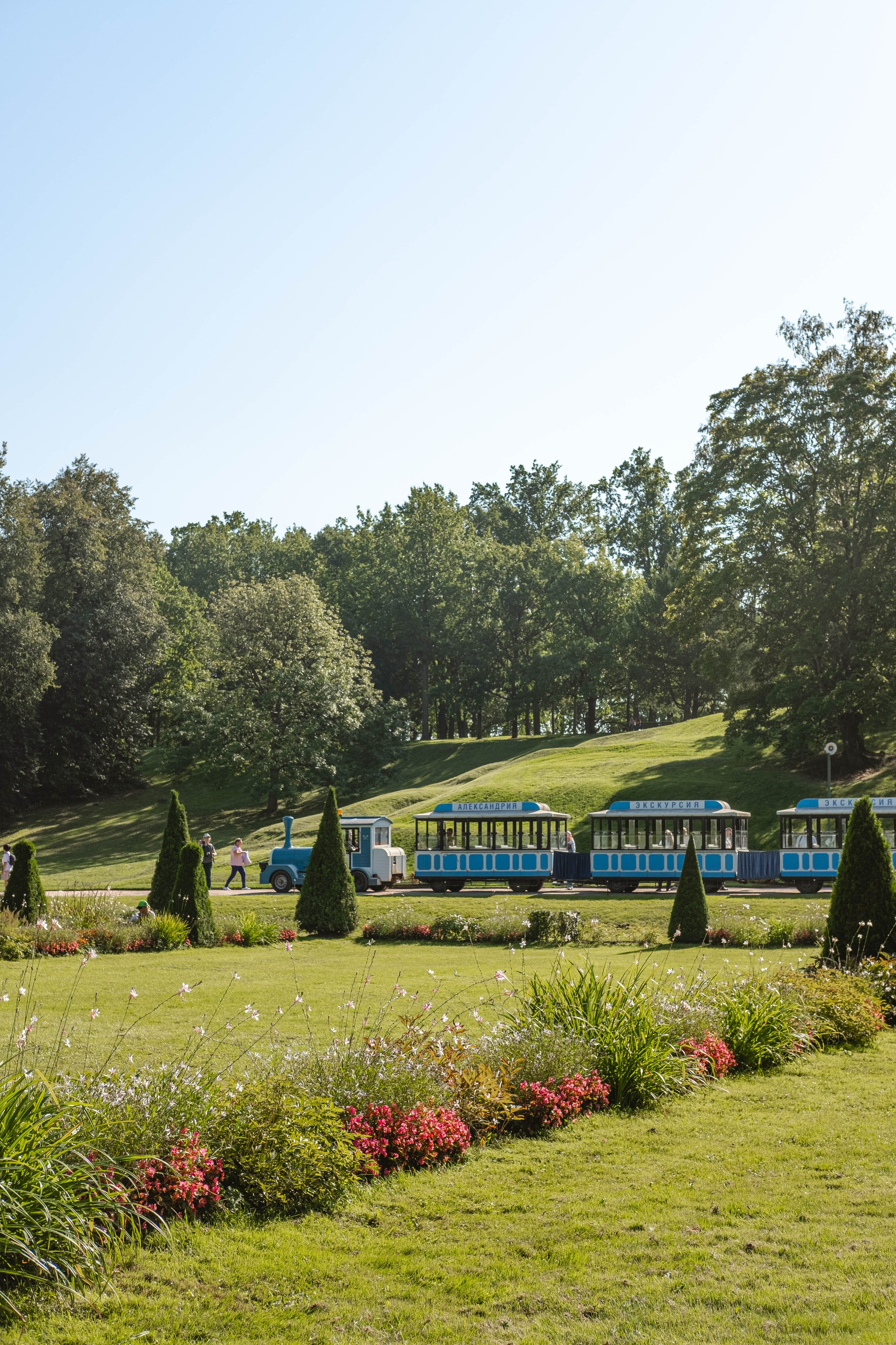 Питер 2024. Свадебный и семейный фотограф в Новосибирске, Санкт-Петербурге, Москве