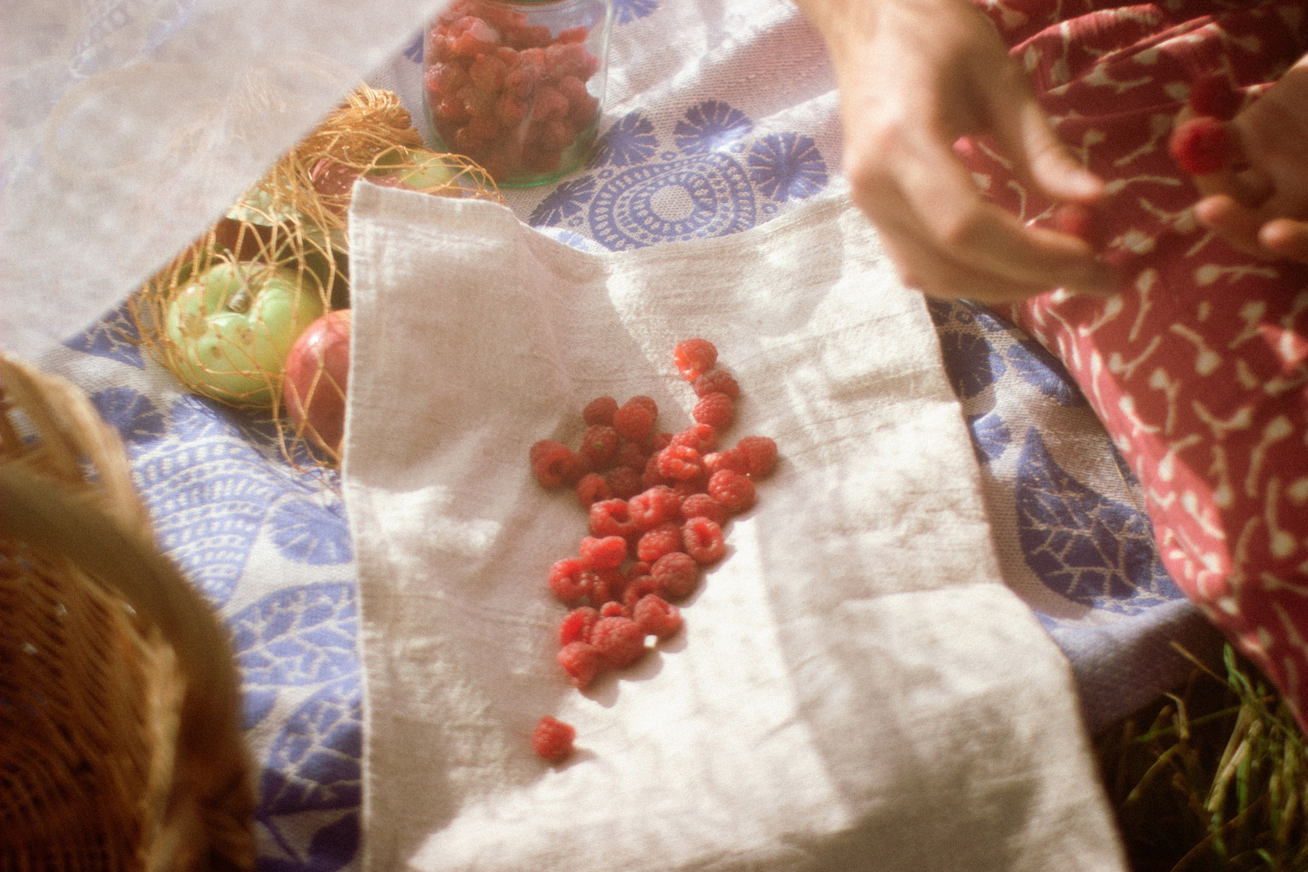 Пикник. • Фотограф Александра Светозар Алчевск •