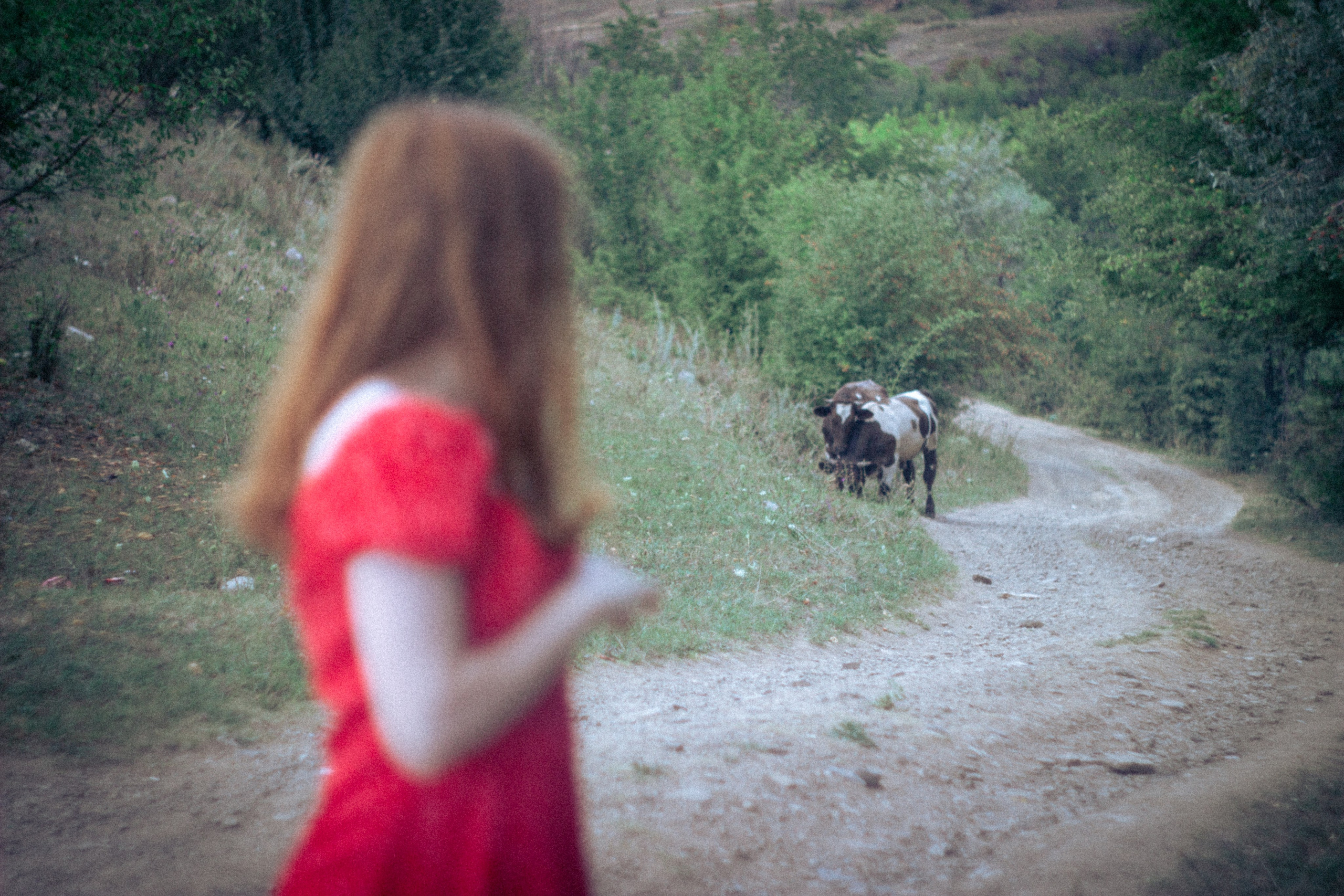 Платье в горошек. • Фотограф Александра Светозар Алчевск •