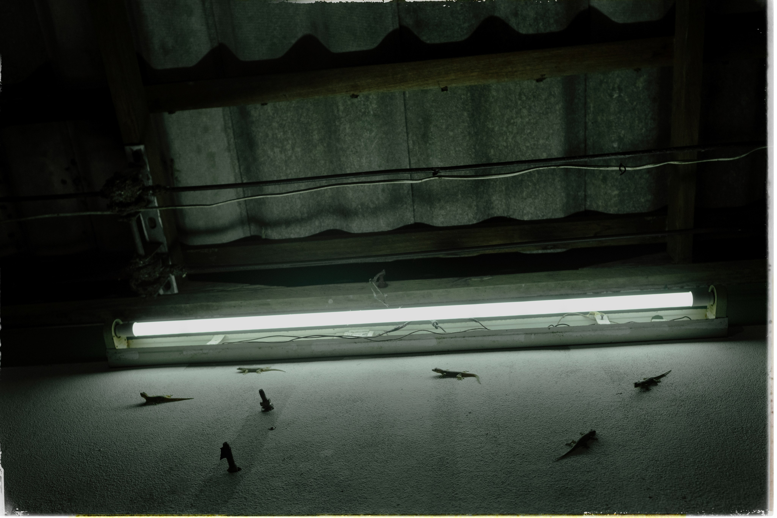 Таиланд. Портретный и репортажный фотограф в Санкт-Петербурге Дарья Сибирякова