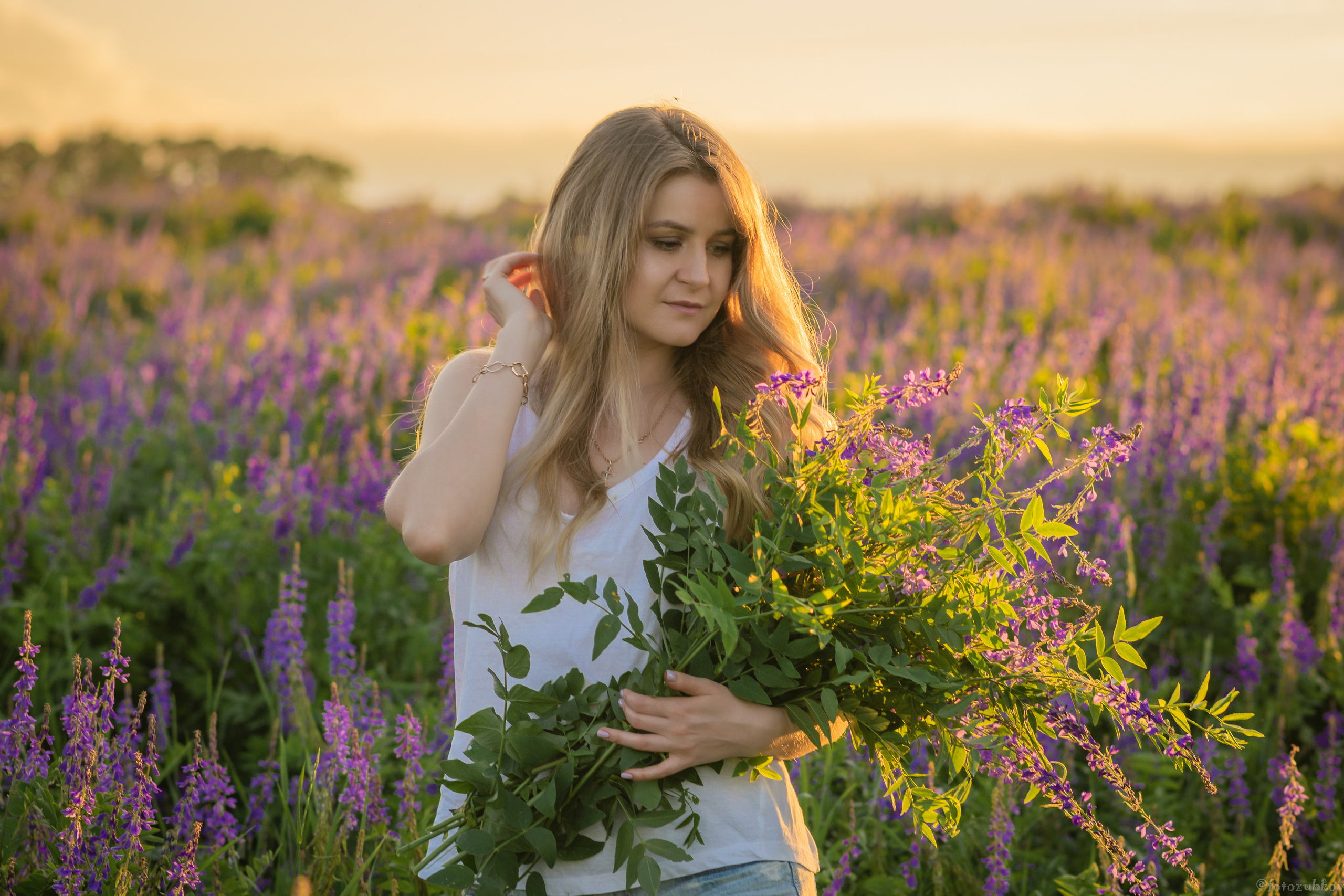 Девушка на закате в поле люпинов
