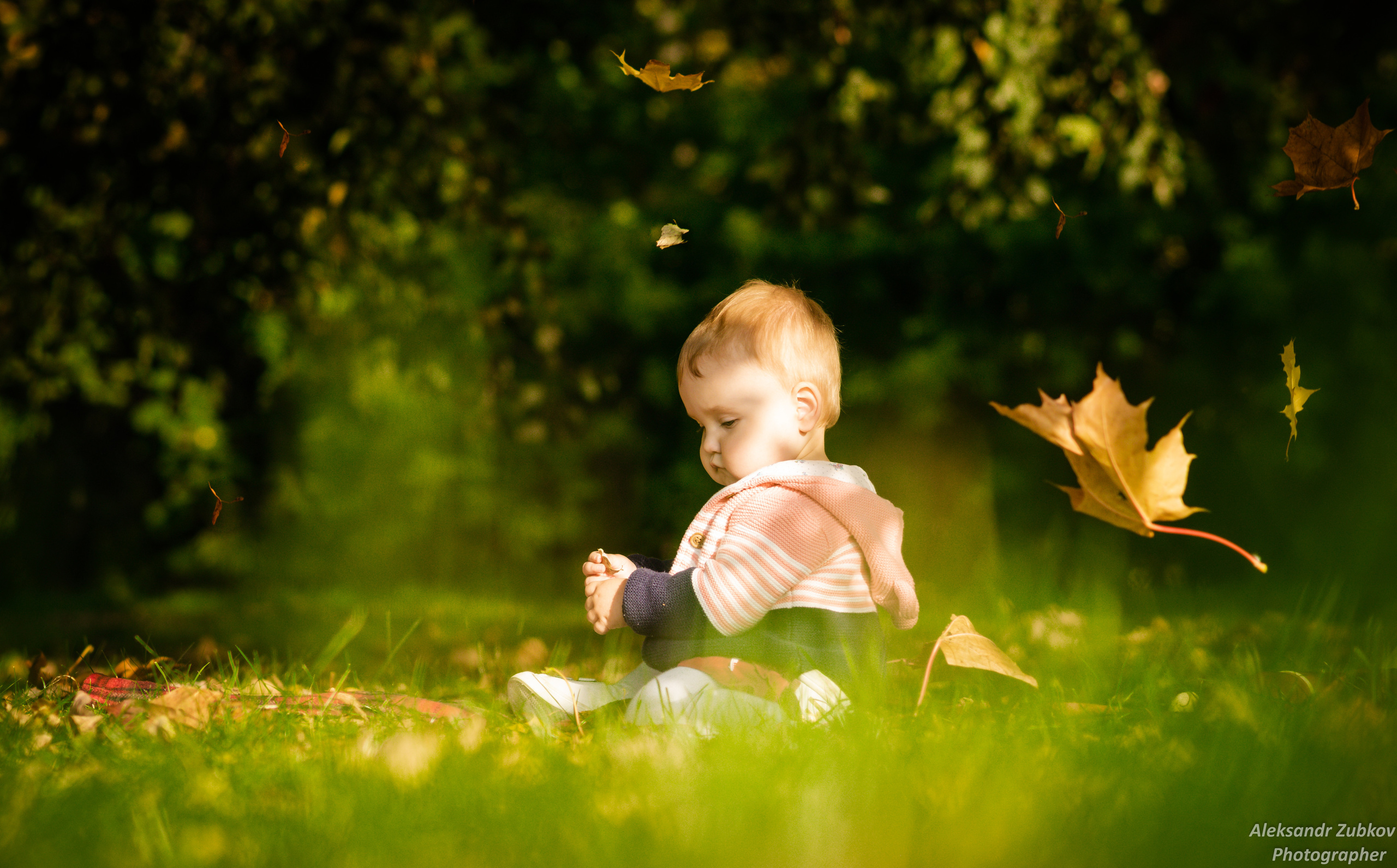 Маленькая девочка собирает листья  в осеннем парке