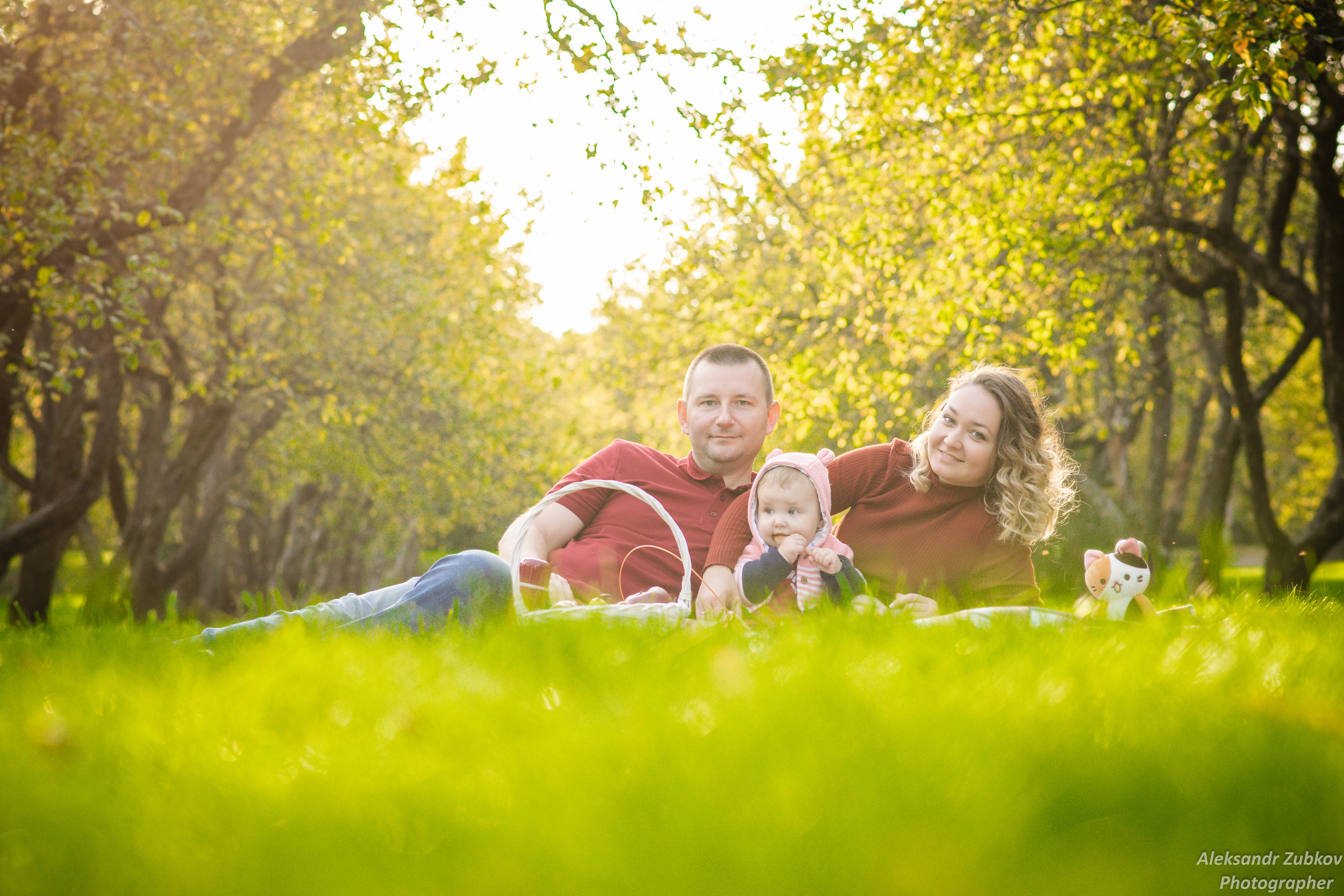 Семья на пикнике в летнем парке